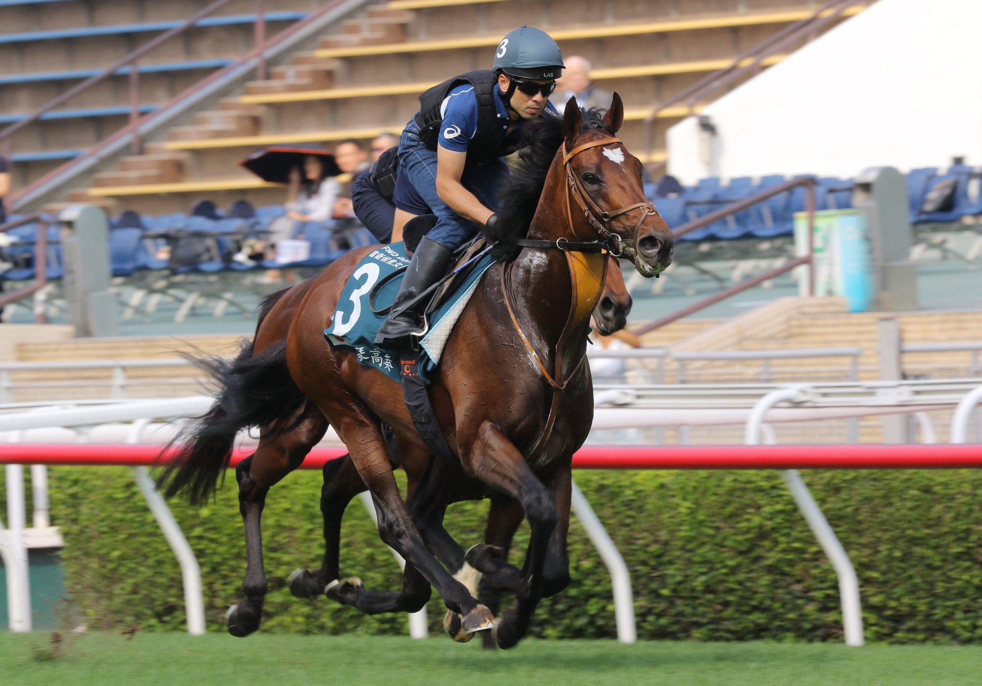 Tastiera works at Sha Tin on Thursday.