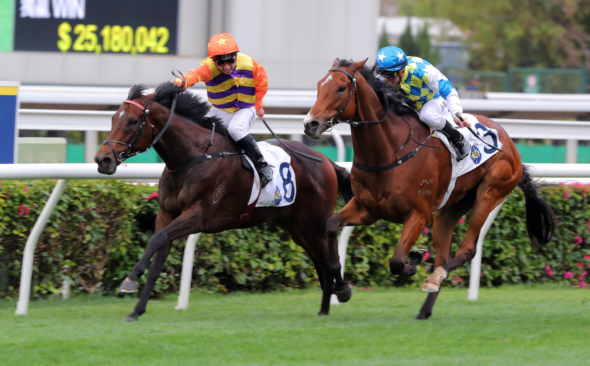 Straight Arron (inside) narrowly beats Galaxy Patch in the Chairman’s Trophy.