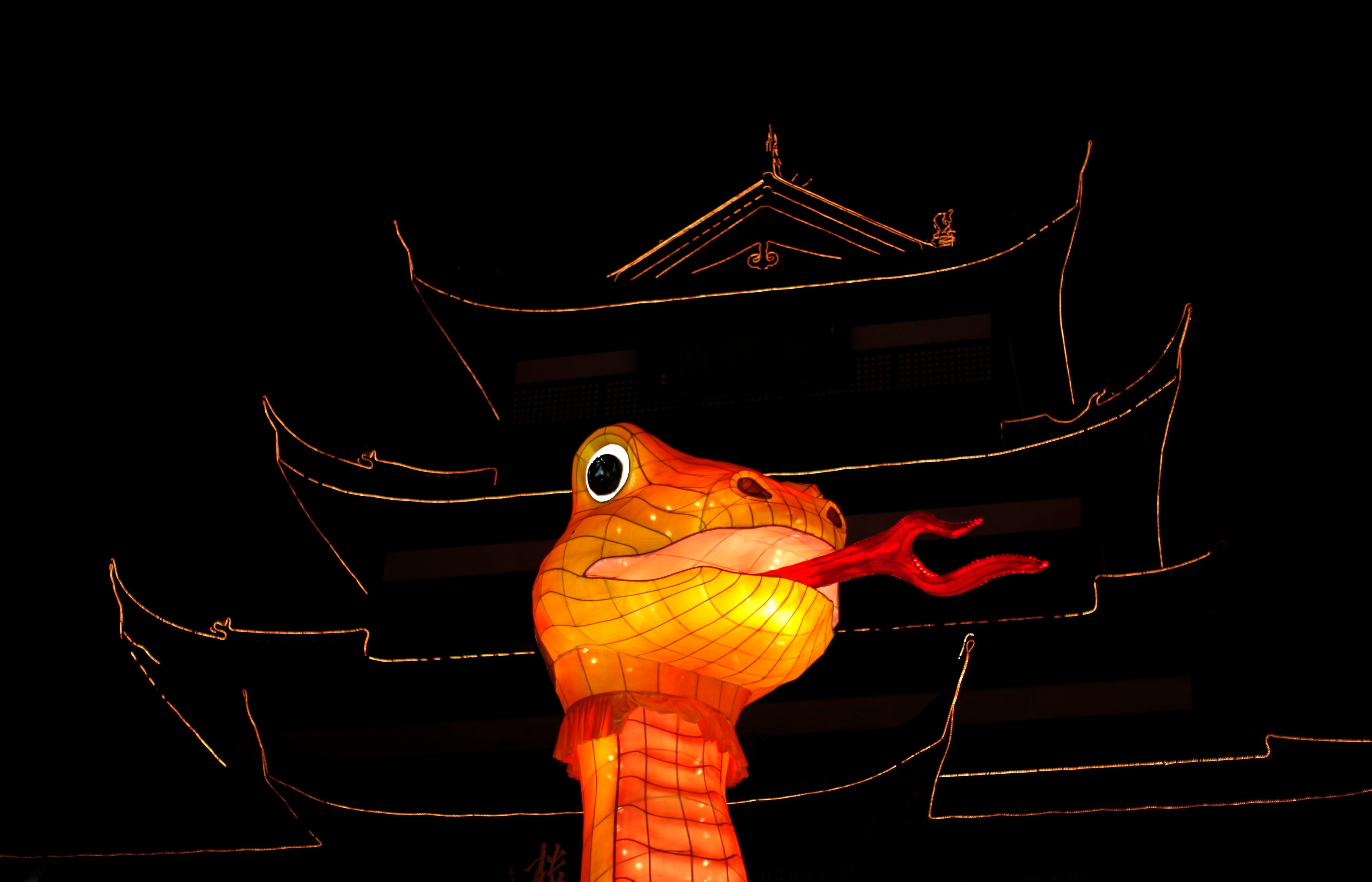 A snake lantern in Shanghai. A feng shui master assesses their prospects in the lunar  year’s fourth month. Photo: Reuters