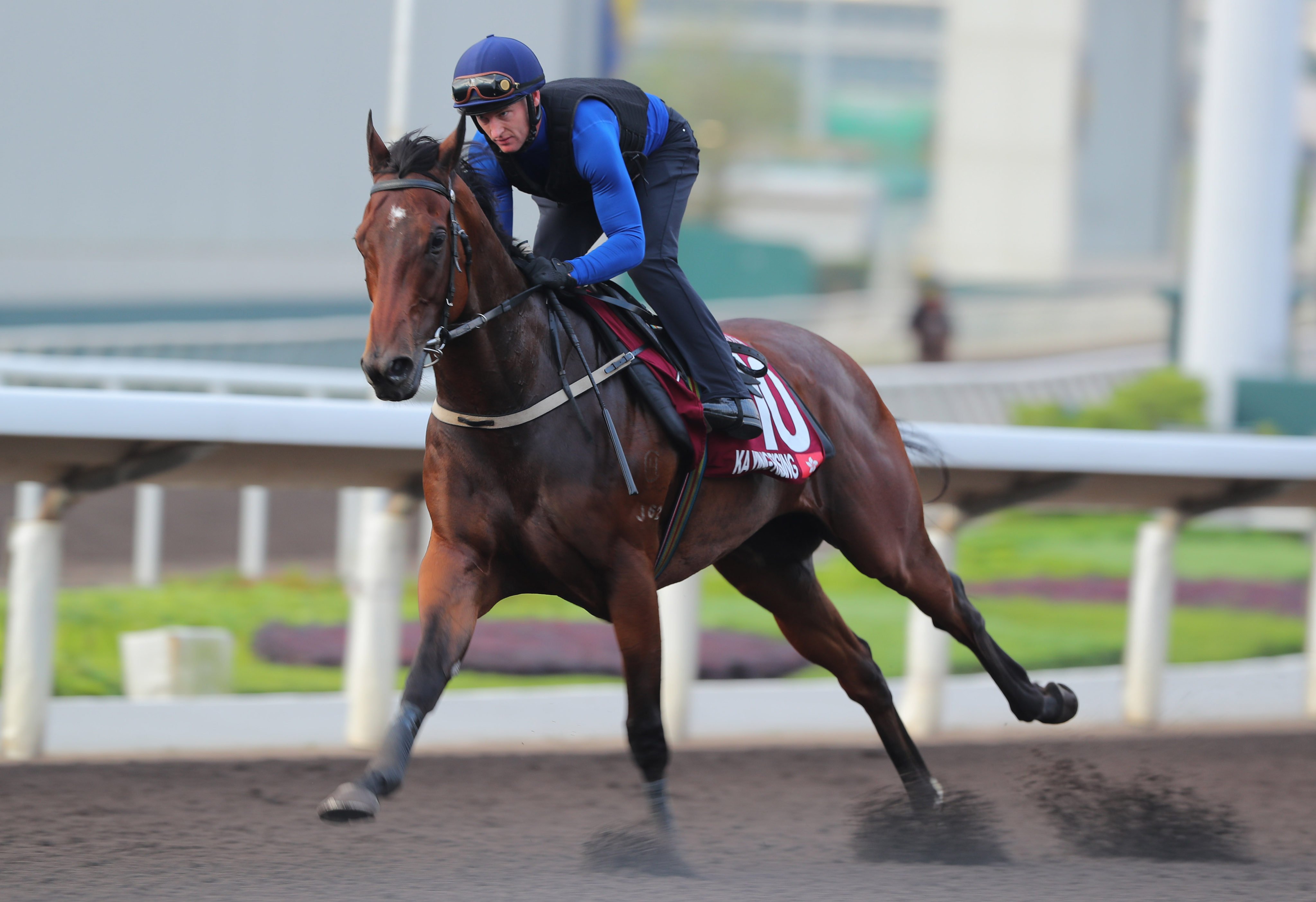 Zac Purton puts Ka Ying Rising through his paces in a dirt gallop earlier this week. Photos: Kenneth Chan