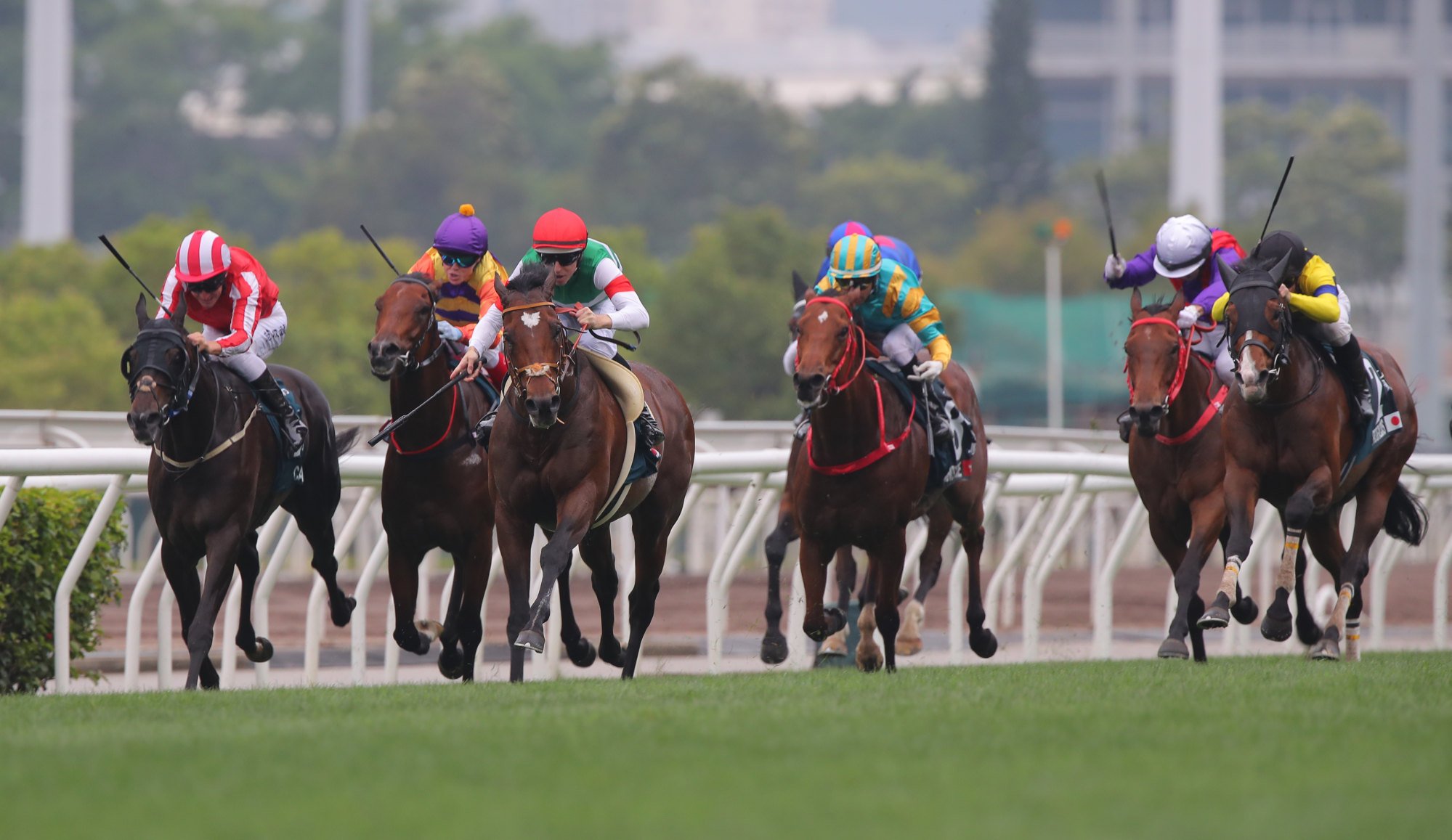 Tastiera (red cap) begins to pull clear of runner-up Prognosis (far right). Tastiera (red cap) begins to pull clear of runner-up Prognosis (far right).
