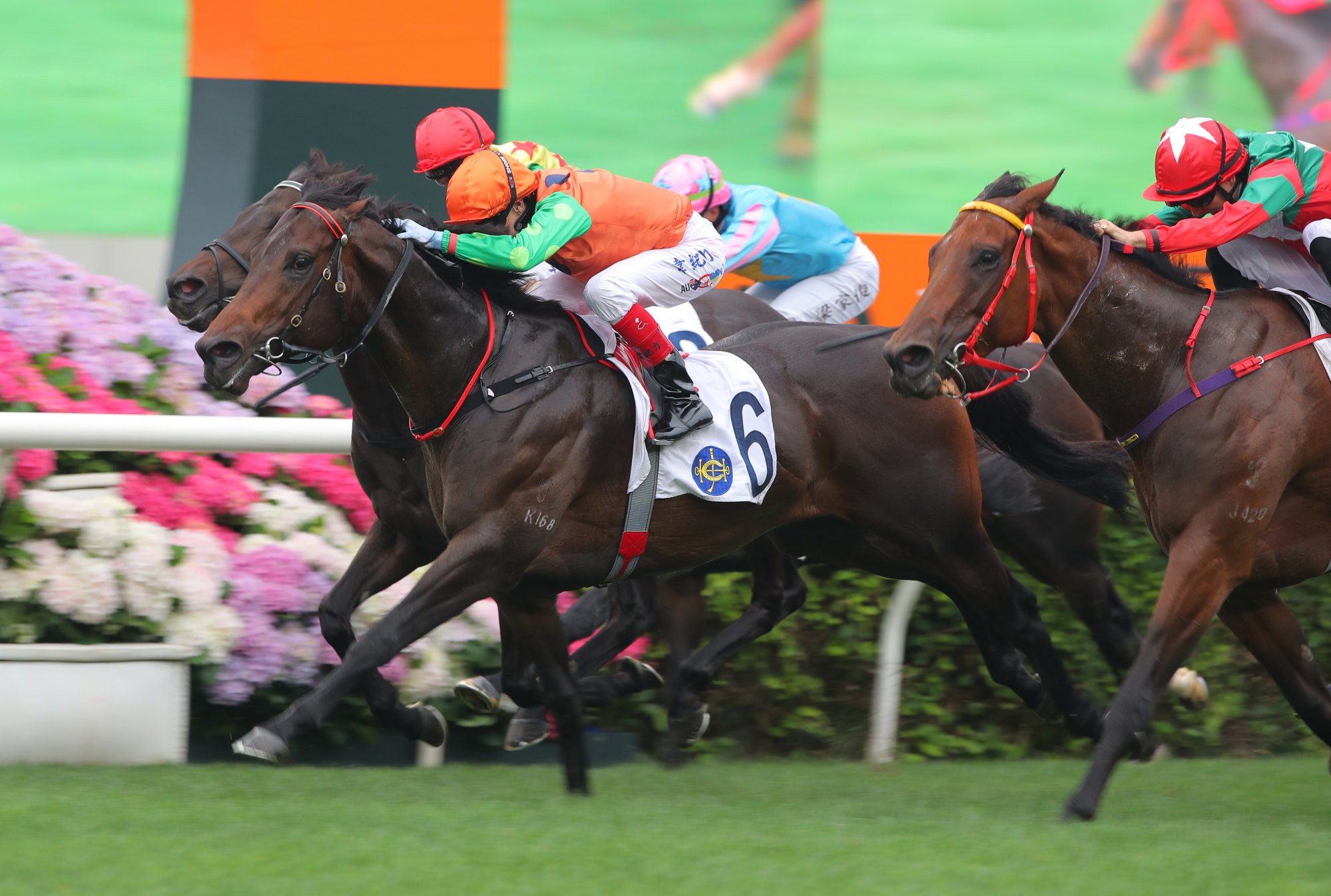 Invincible Shield lifts to win under Craig Williams.
