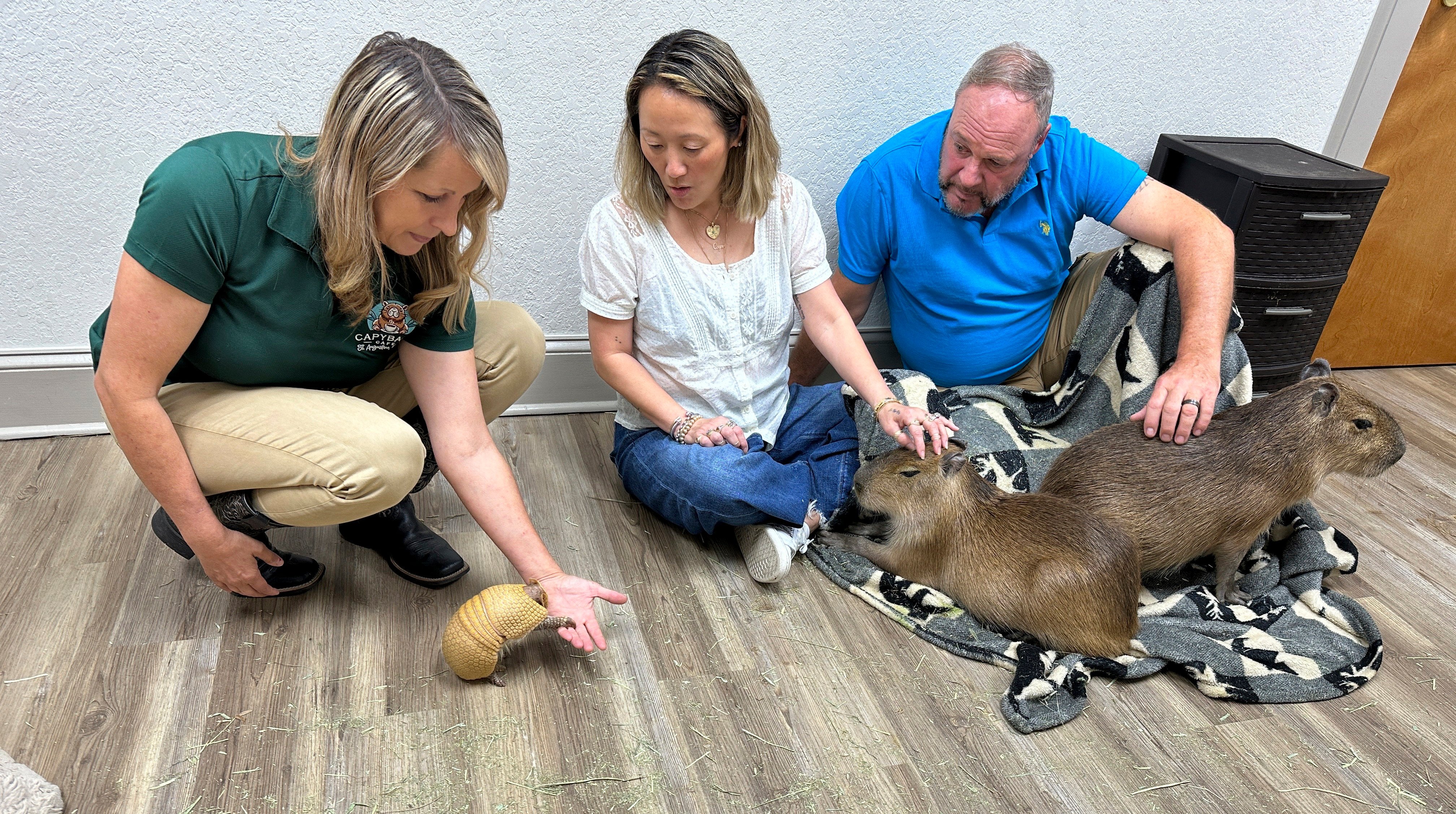 Stephanie Angel (left,) shows off an armadillo to visitors at The Capybara Cafe in St Augustine in Florida, United States. Photo: AP