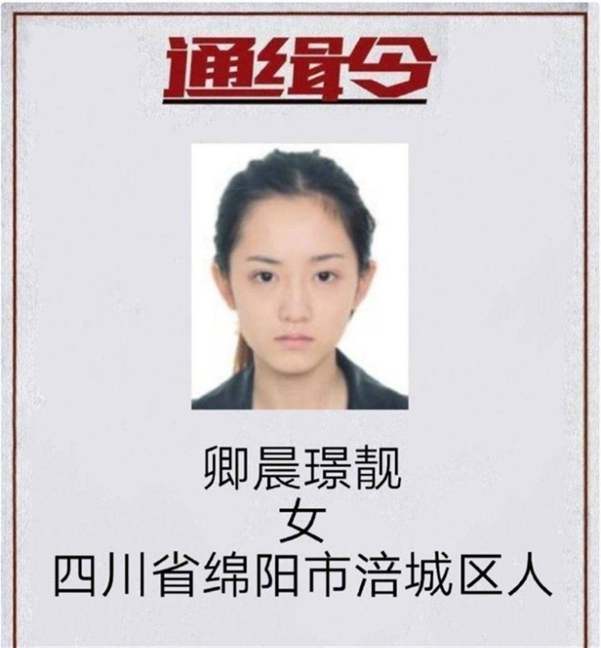 This wanted poster for then fugitive Qing Chenjingliang turned heads across China. Photo: handout This wanted poster for then fugitive Qing Chenjingliang turned heads across China. Photo: handout