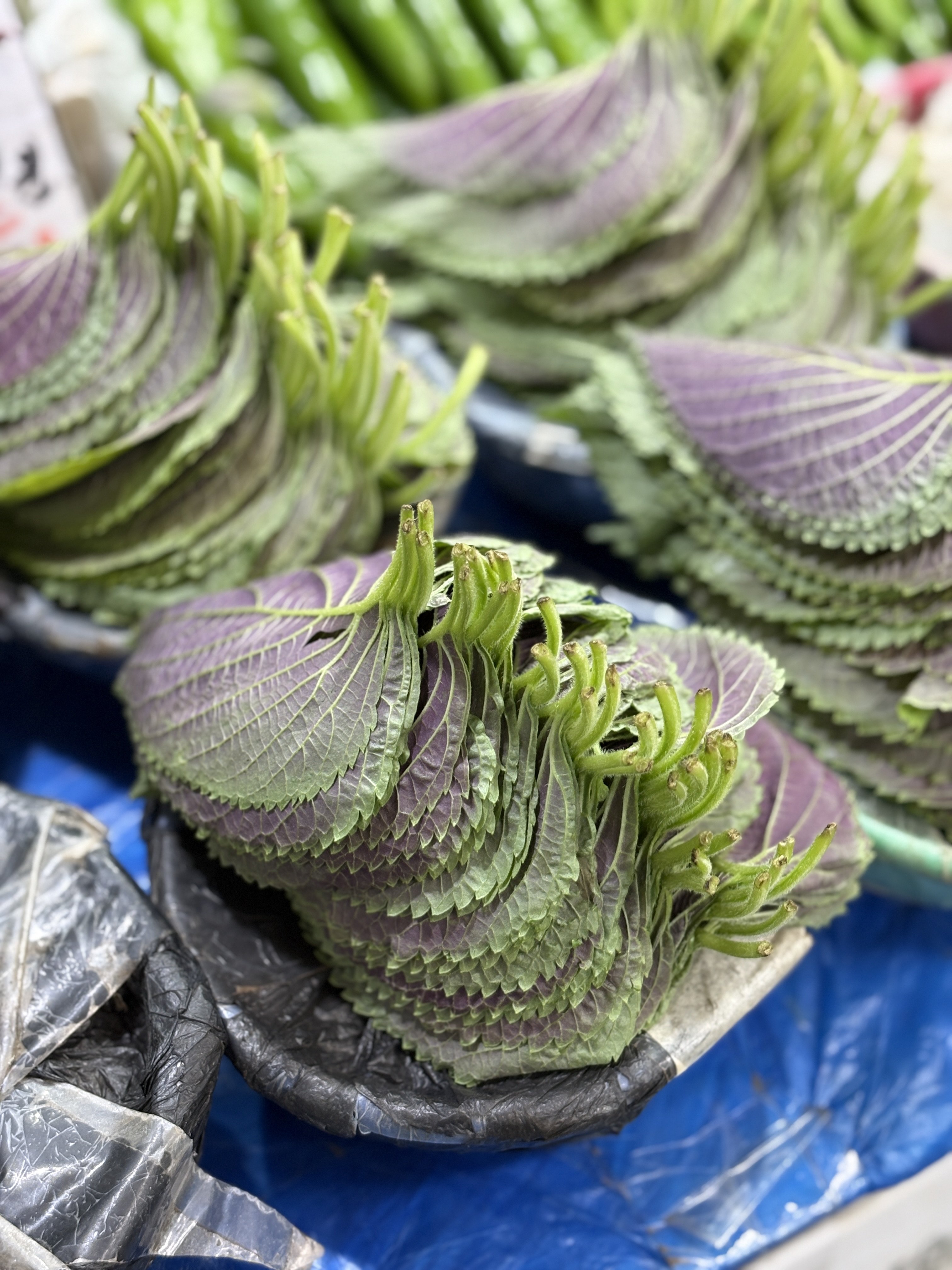 Fresh perilla leaves at Gyeongdong Market in Seoul, South Korea. Photo: Charmaine Mok