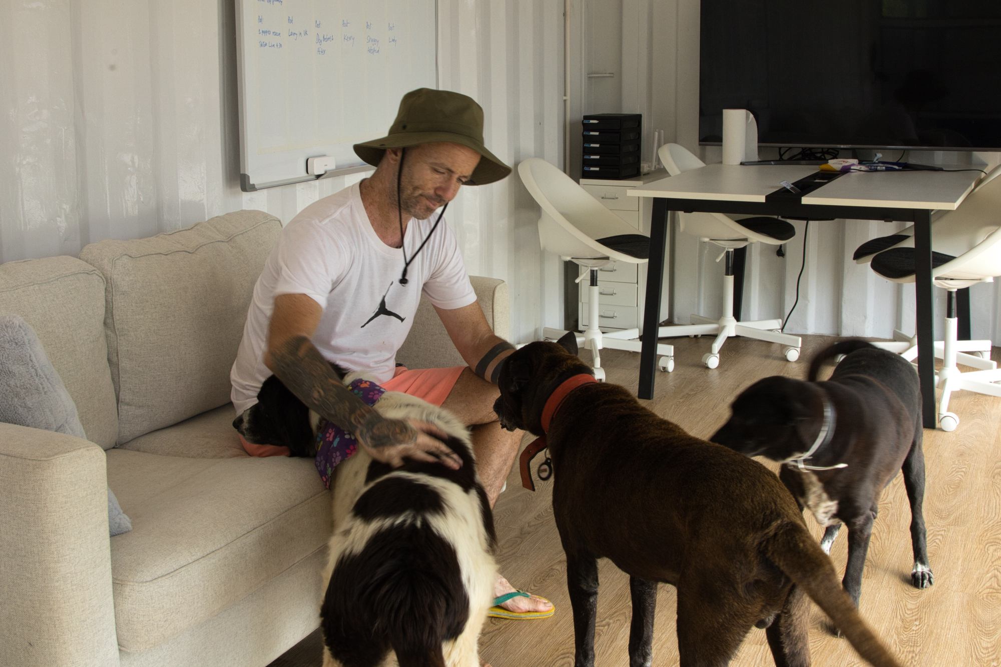 Niall Harbison’s mission is to save sick and wounded street dogs on Thailand’s Koh Samui. Photo: Naruemon Chaingam Niall Harbison’s mission is to save sick and wounded street dogs on Thailand’s Koh Samui. Photo: Naruemon Chaingam