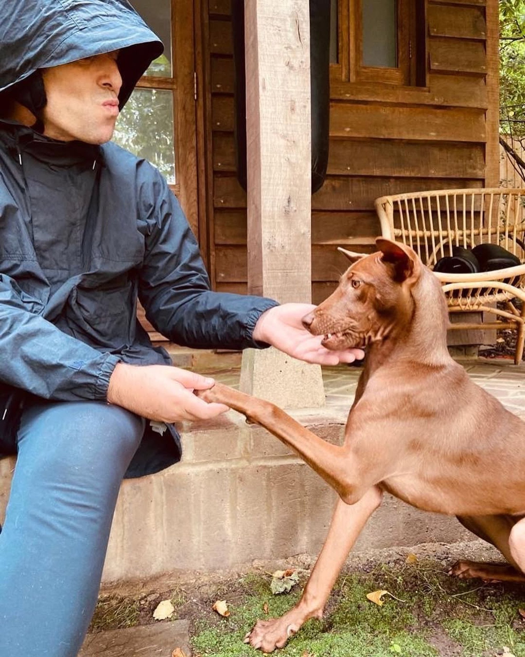 Liam Gallagher applied to adopt a rescue dog named Buttons. Photo: Instagram/liamgallagher Liam Gallagher applied to adopt a rescue dog named Buttons. Photo: Instagram/liamgallagher