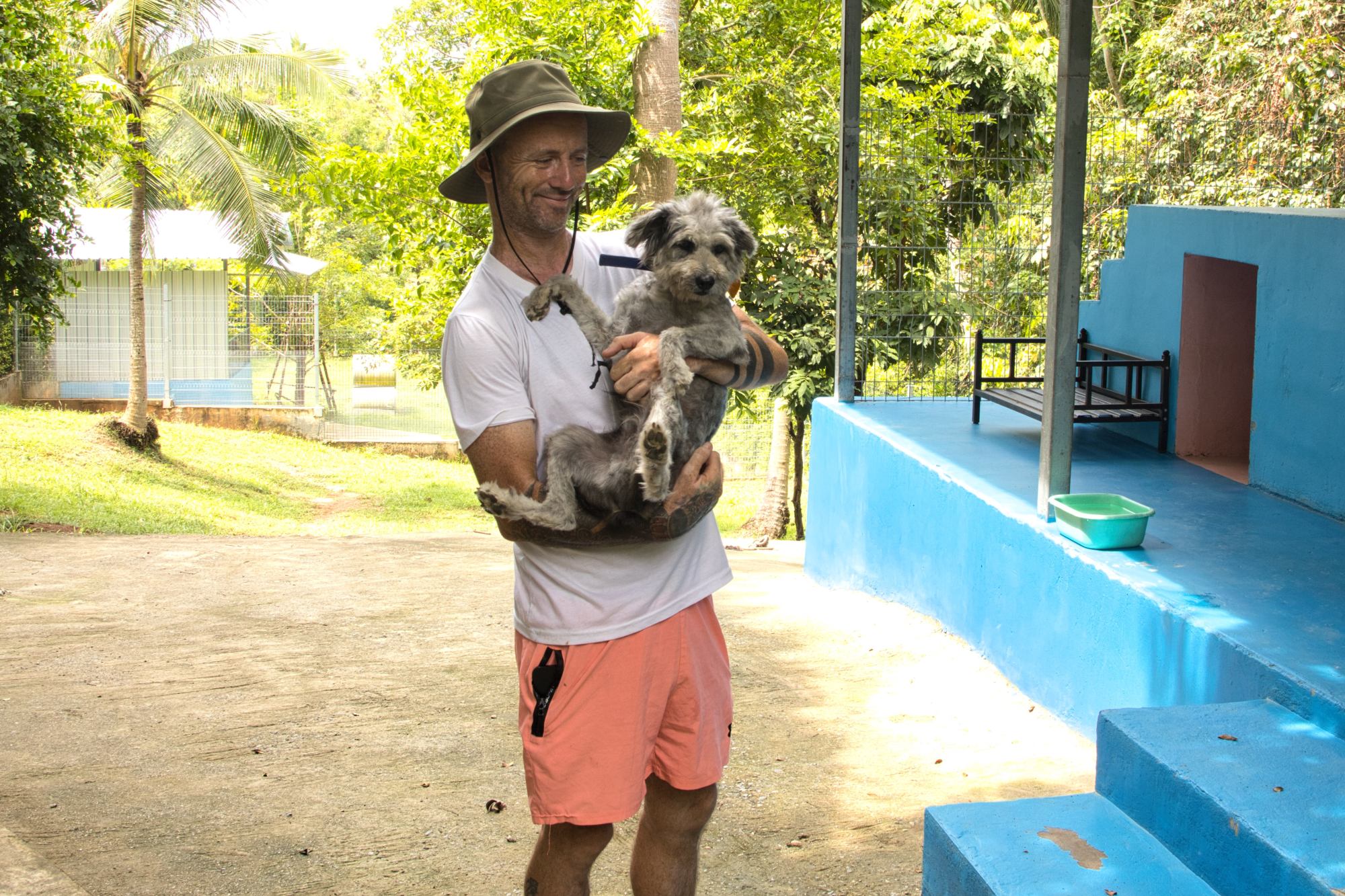 Niall Harbison wants to reduce the population of street dogs throughout Thailand. Photo: Naruemon Chaingam Niall Harbison wants to reduce the population of street dogs throughout Thailand. Photo: Naruemon Chaingam