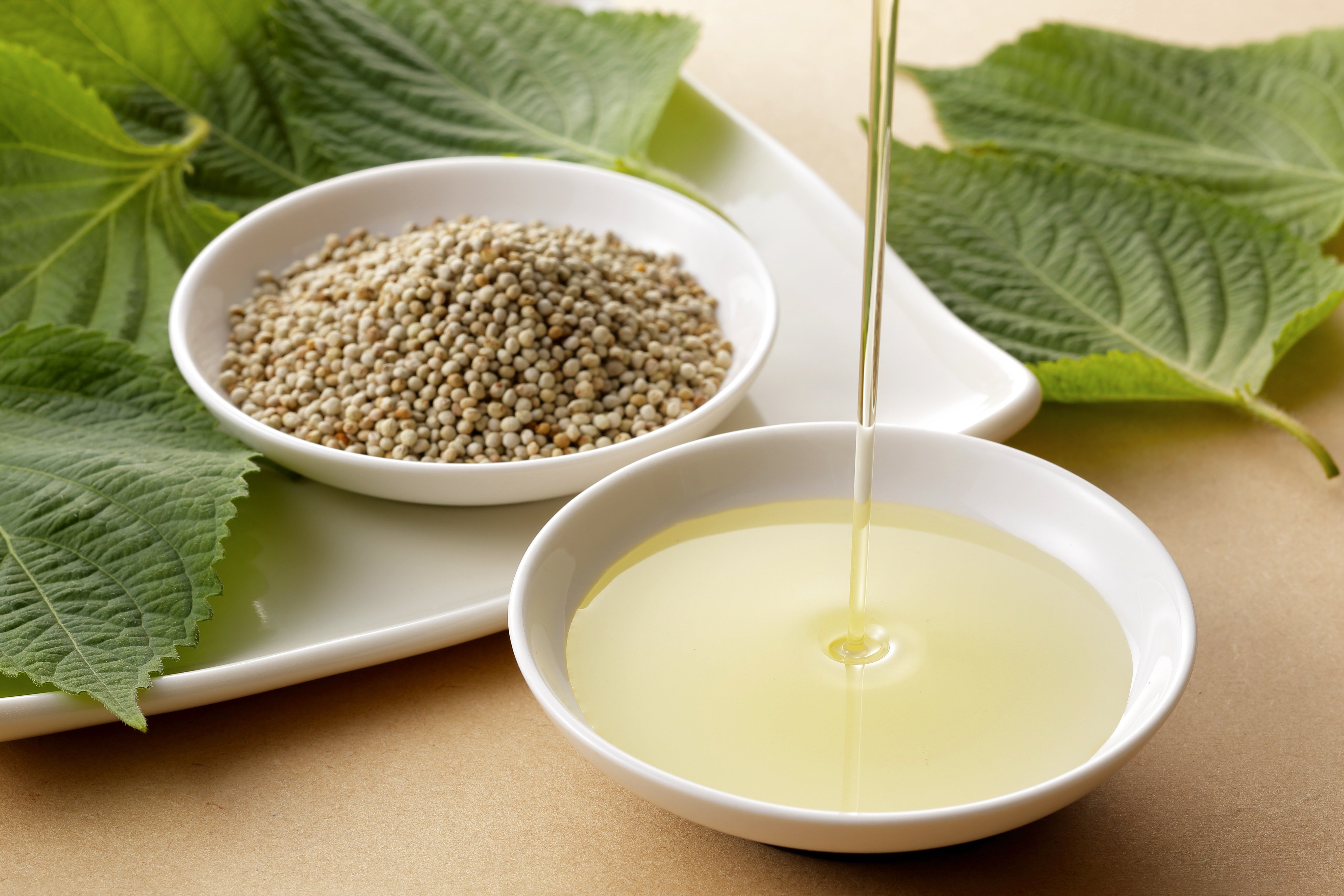 Perilla oil is made from cold-pressed perilla seeds. Photo: Shutterstock