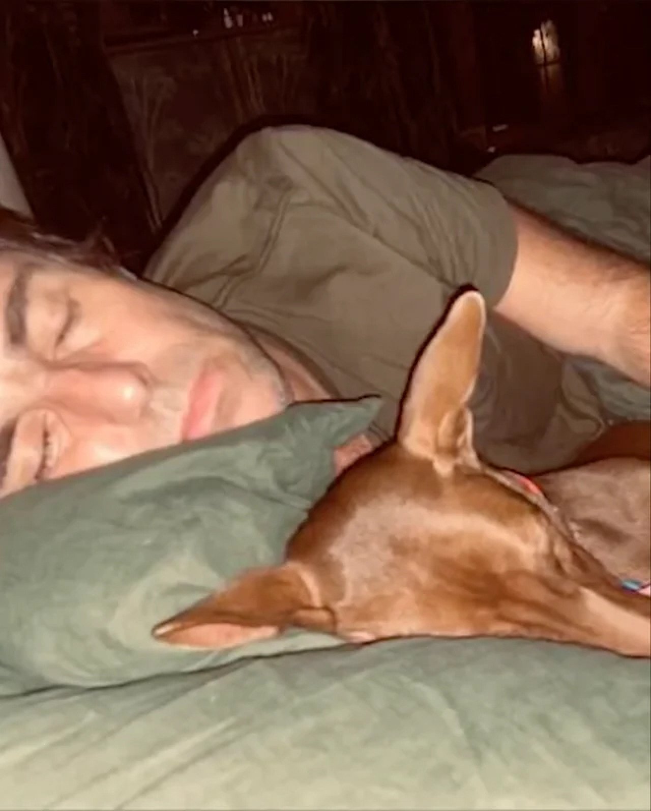 Liam Gallagher adopted a rescue dog named Buttons. Photo: Instagram/ niall.harbison Liam Gallagher adopted a rescue dog named Buttons. Photo: Instagram/ niall.harbison