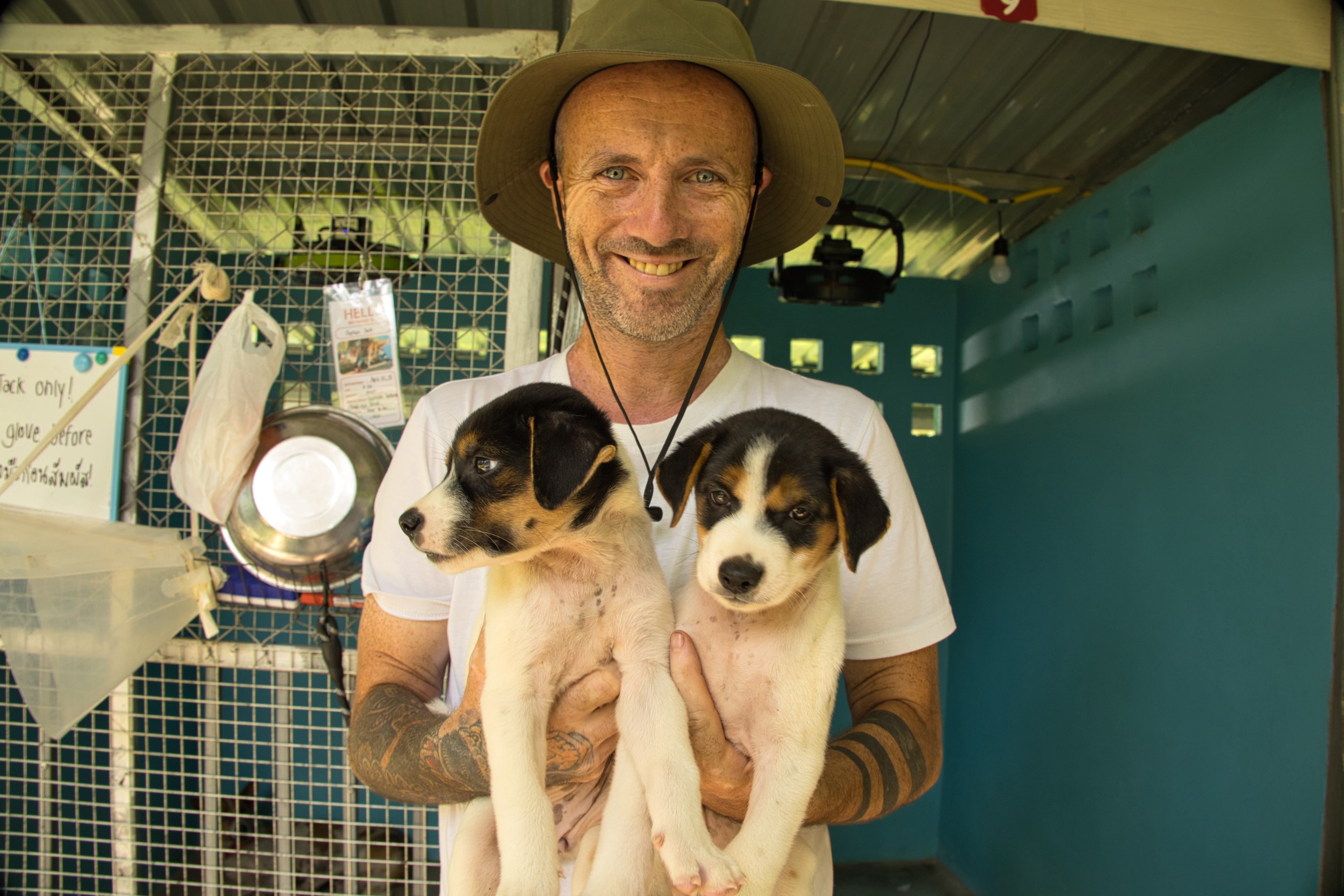 Niall Harbison is seen with a pair of pups. Harbison aims to reduce Thailand’s street dog population through sterilisation and care. Photo: Naruemon Chaingam