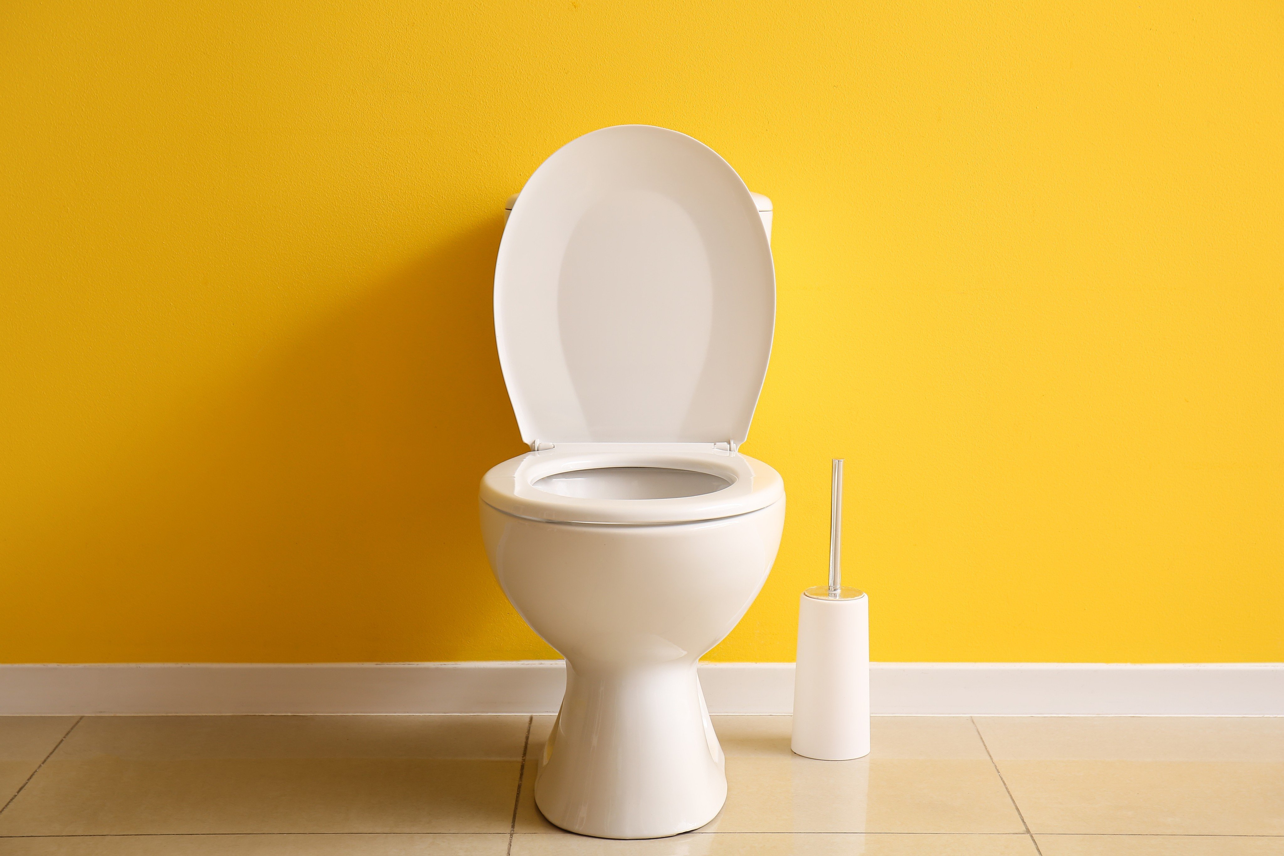 What happens in the bathroom can tell you a lot about your health. Photo: Shutterstock