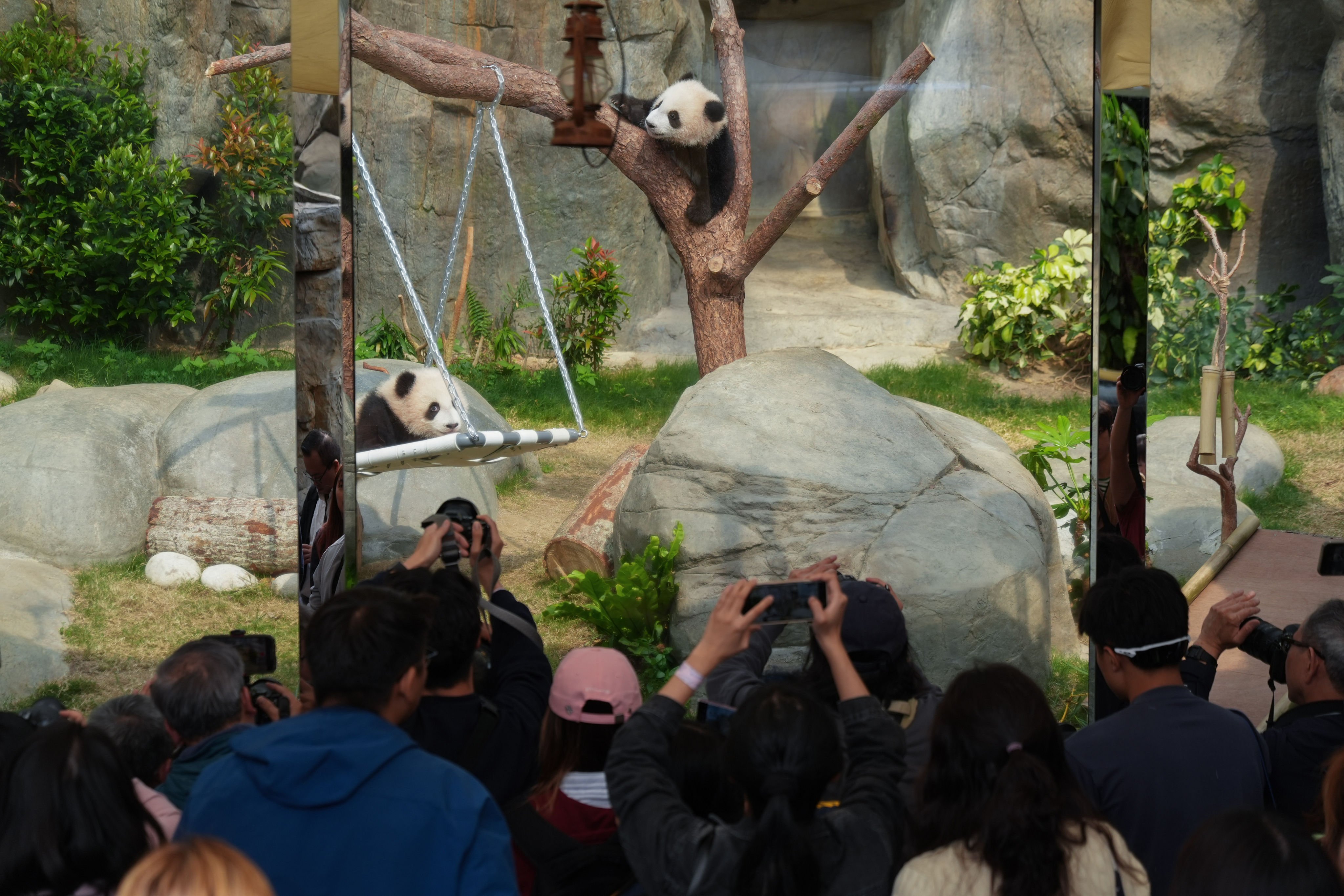 The giant panda twin cubs at Ocean Park are expected to be a popular attraction for mainland Chinese visitors over the Labour Day ‘golden week’ holiday. Photo:  Eugene Lee