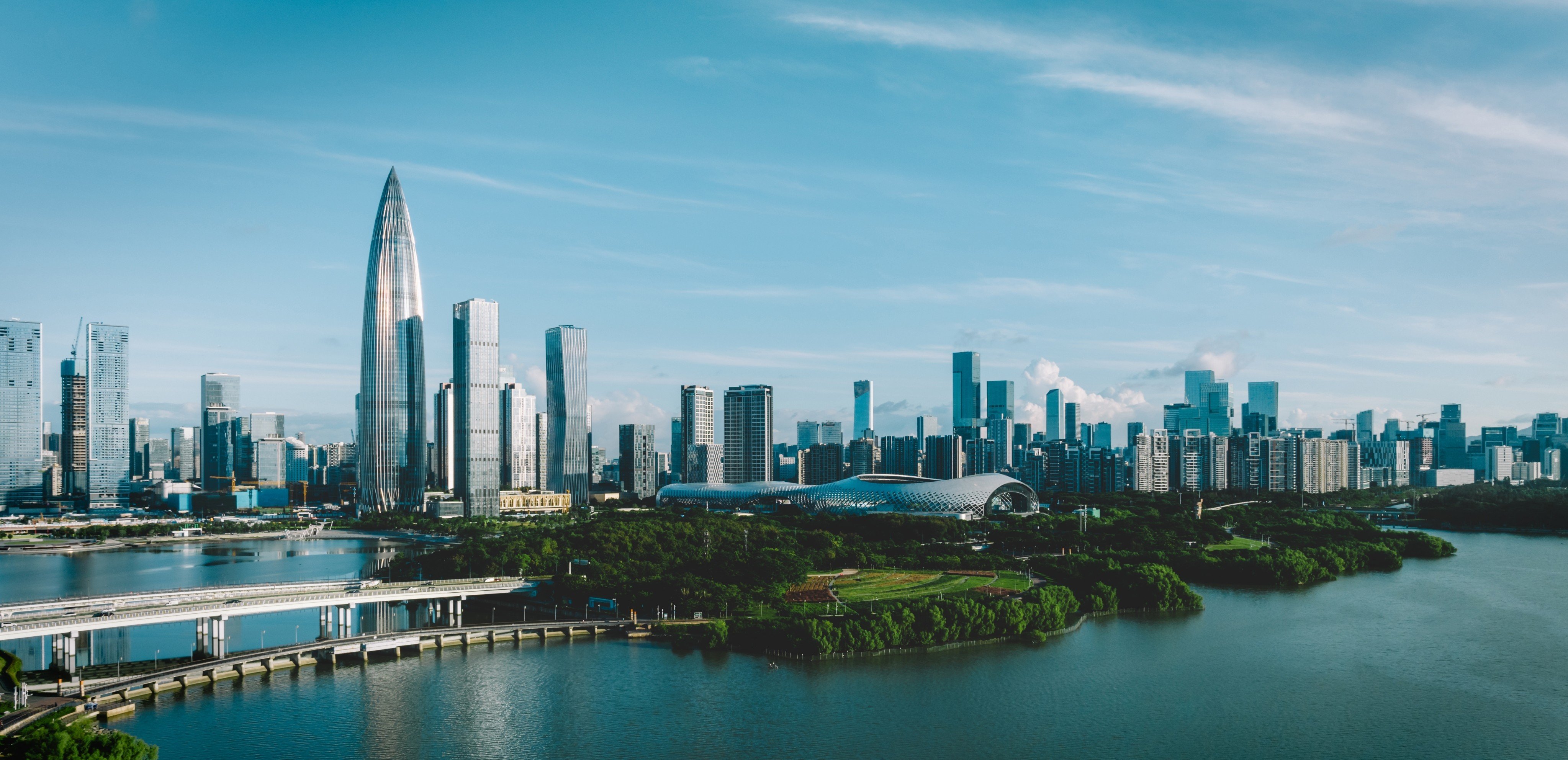 A new Chinese law promises to promote fair market competition, encourage private sector involvement in science and technology development, and protect private firms’ economic rights and interests. Pictured is Shenzhen. Photo: Shutterstock