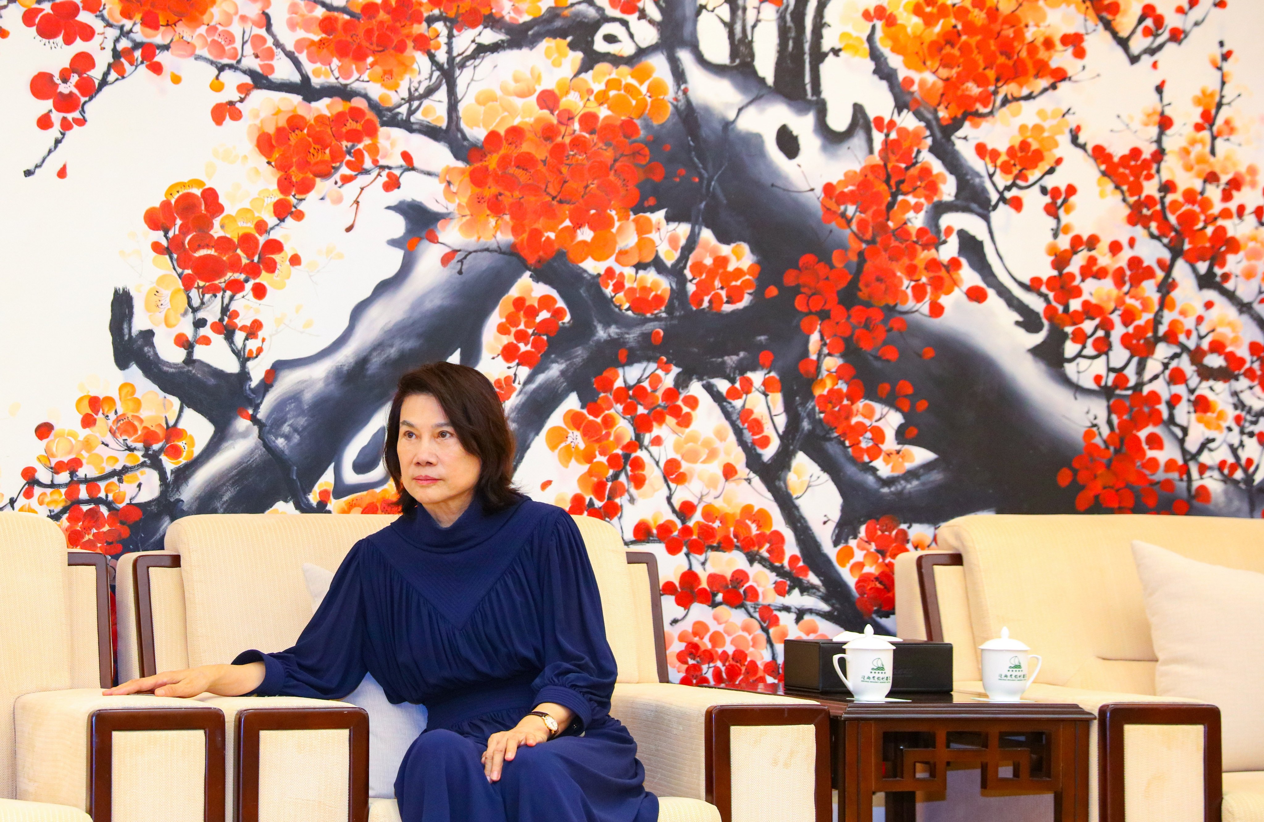 Dong Mingzhu, chairwoman of Gree Group appliance firm in China, stirred controversy last month after saying Chinese educated overseas might be spies. Photo: Handout