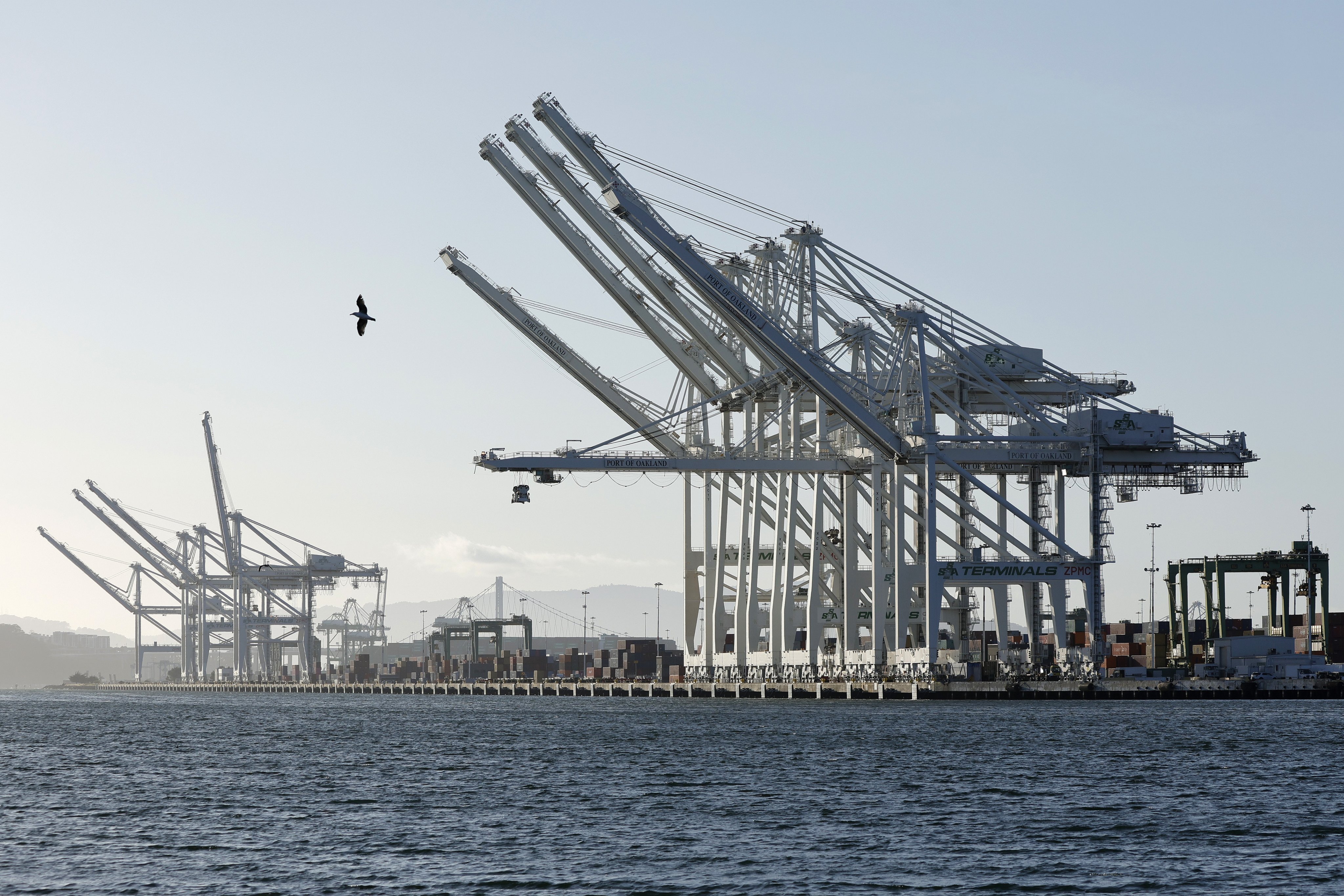 Container cranes and empty berths along the Port of Oakland in California. Photo: EPA-EFE