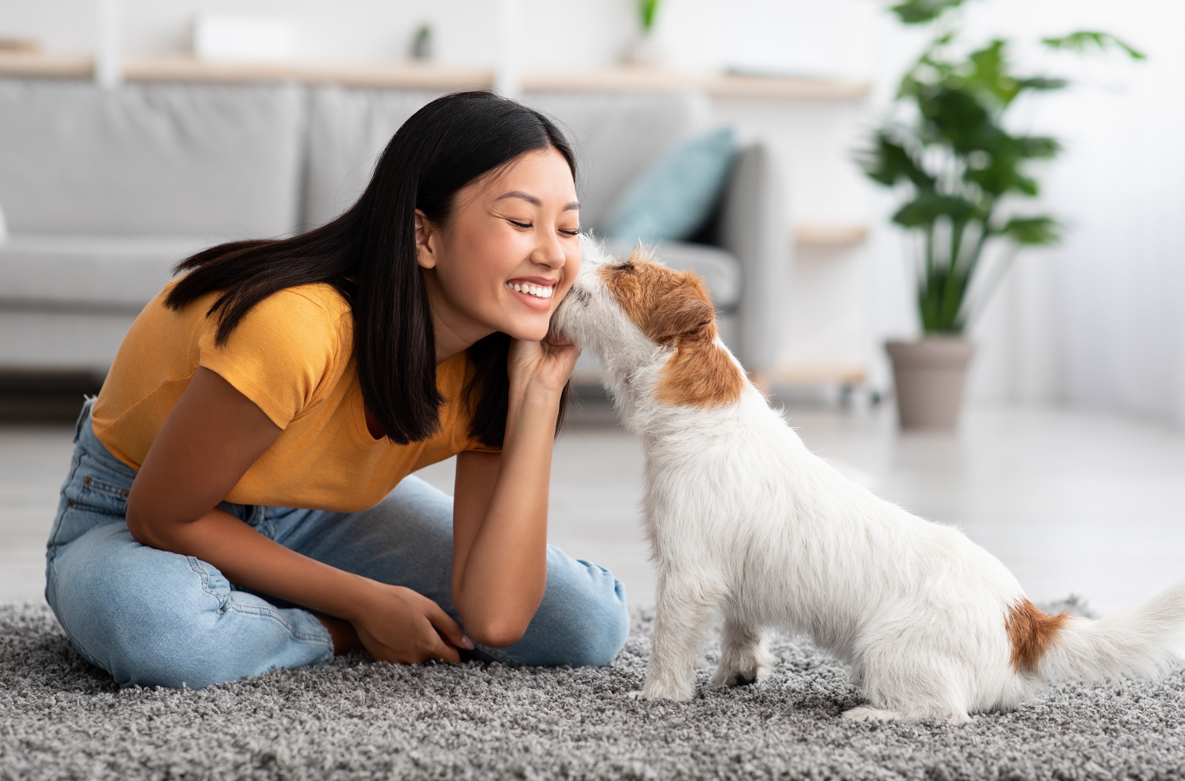 Most owners do not spend their lives frustrated by their dogs; they love them anyway. Like dogs, human spouses have flaws, but if we manage our expectations and practise acceptance, much suffering will end, Korean monk Venerable Pomnyun is telling us. Photo: Shutterstock