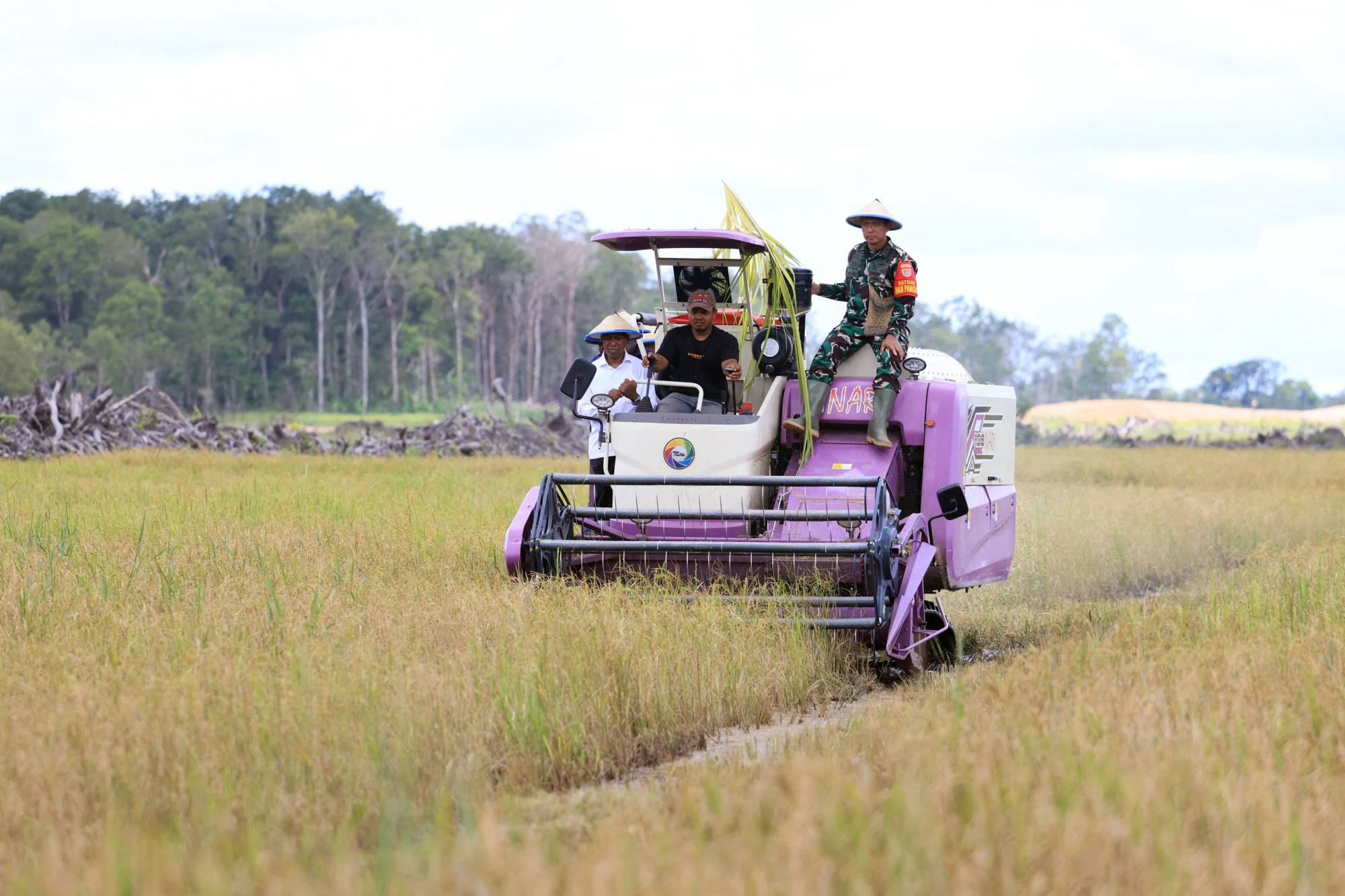 Workers operate a combine harvester in Merauke, South Papua, as part of Indonesia’s Food Estate Programme, which was launched to improve food self-sufficiency through large-scale farming. Photo: AFP Workers operate a combine harvester in Merauke, South Papua, as part of Indonesia’s Food Estate Programme, which was launched to improve food self-sufficiency through large-scale farming. Photo: AFP