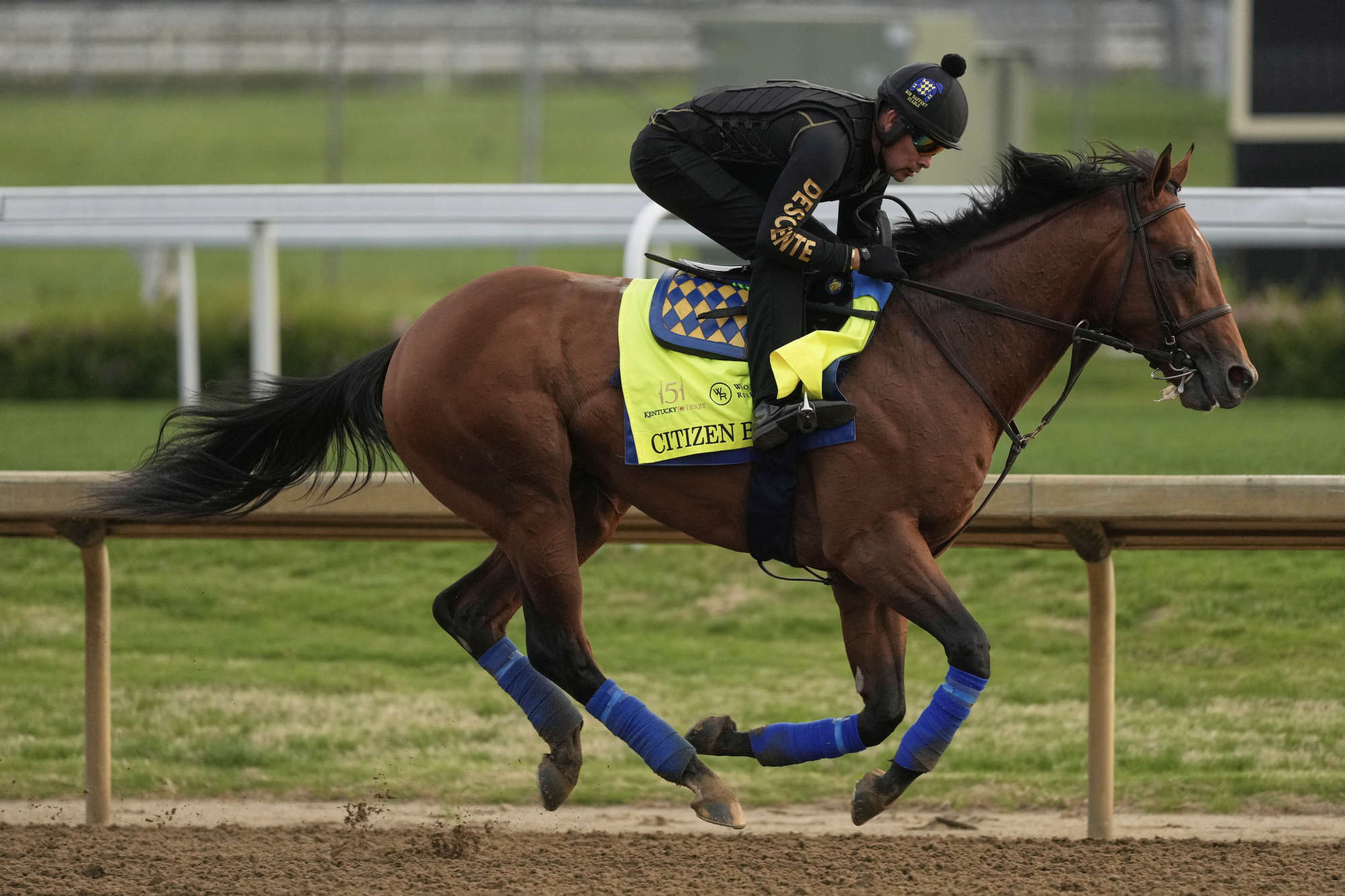 Citizen Bull will be the first Baffert-trained horse at the Kentucky Derby since 2021. Photo: AP Citizen Bull will be the first Baffert-trained horse at the Kentucky Derby since 2021. Photo: AP