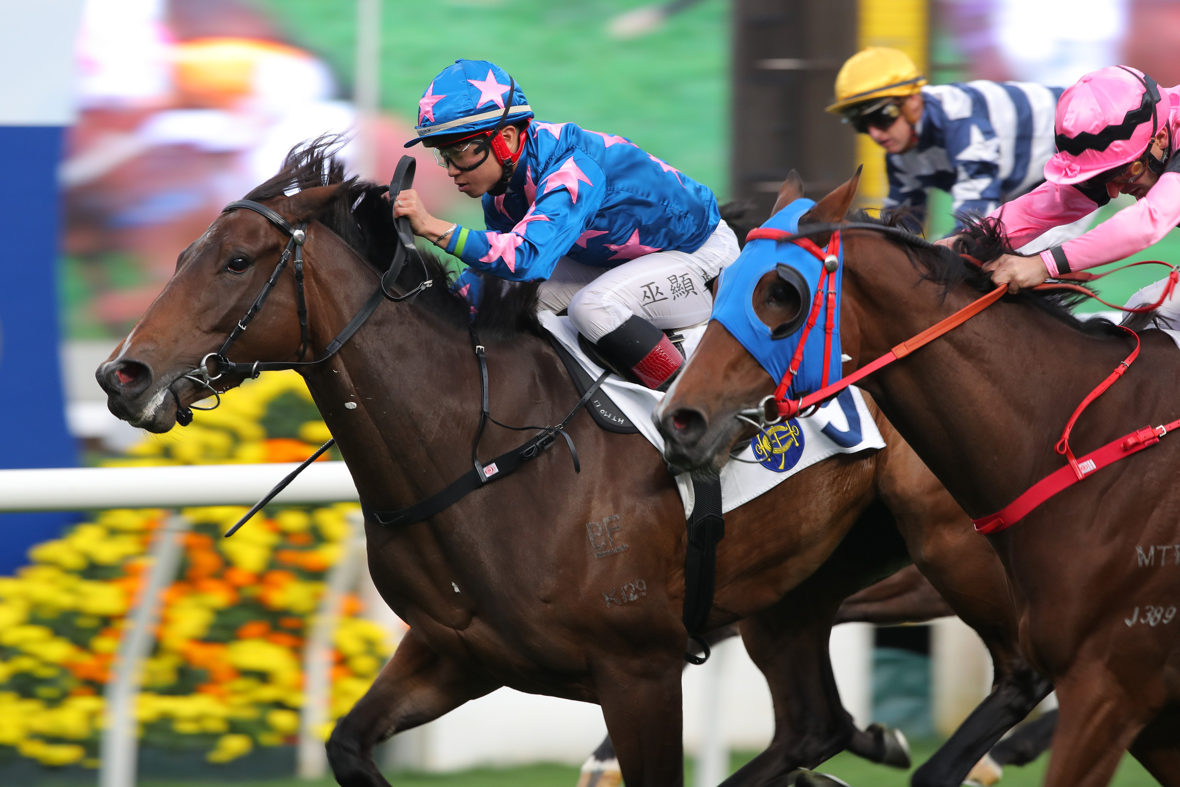 Dylan Mo guides Winning Wing to victory. Photos: Kenneth Chan