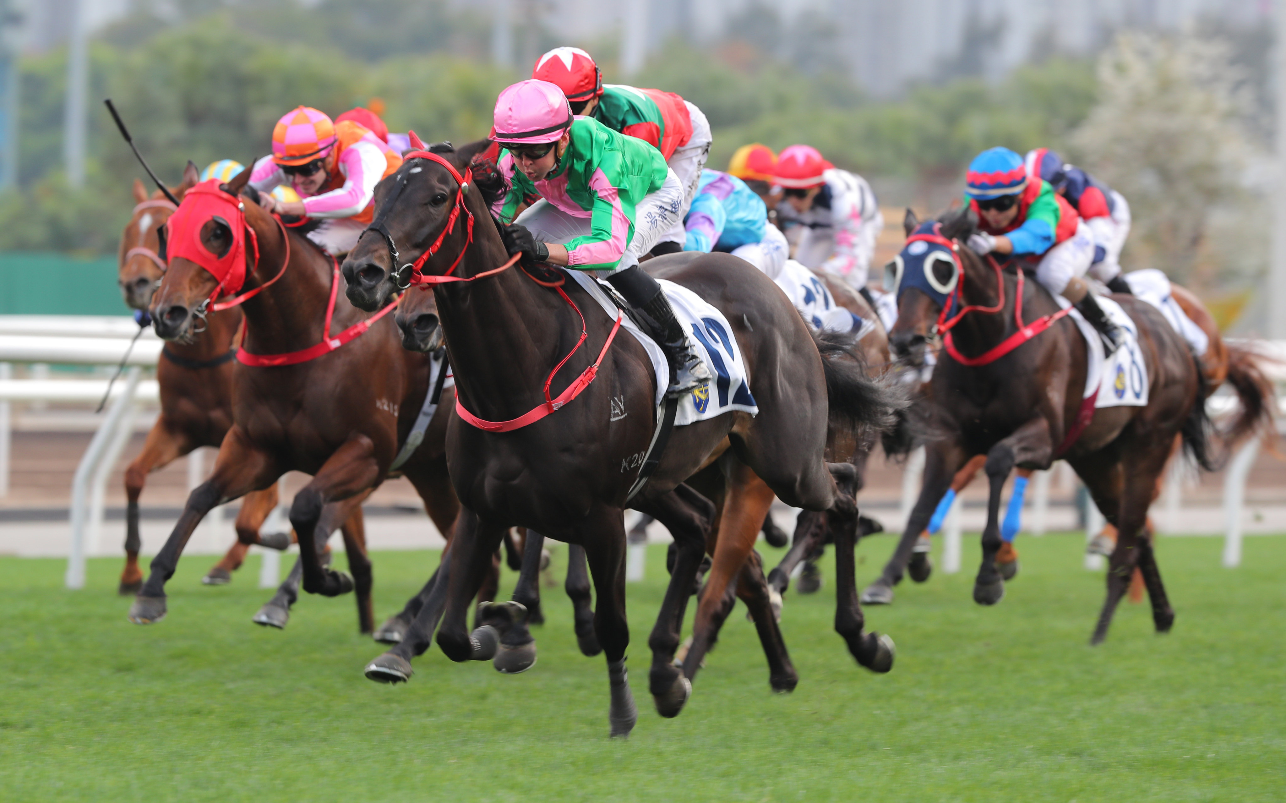 Bundle Award wins over 1,800m at Sha Tin under Ben Thompson. Photos: Kenneth Chan