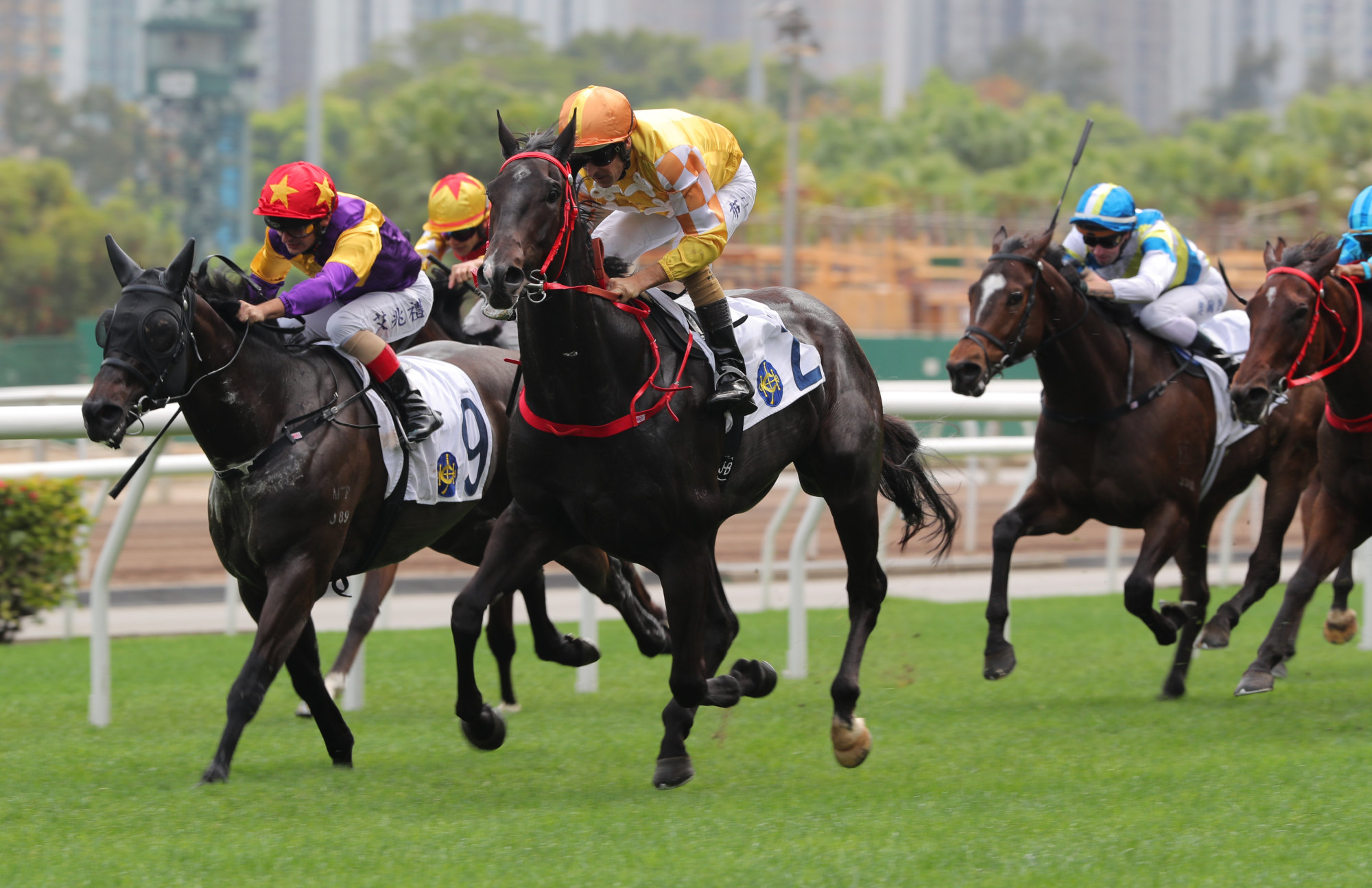 Crossborderpegasus wins under Hugh Bowman in March. Crossborderpegasus wins under Hugh Bowman in March.