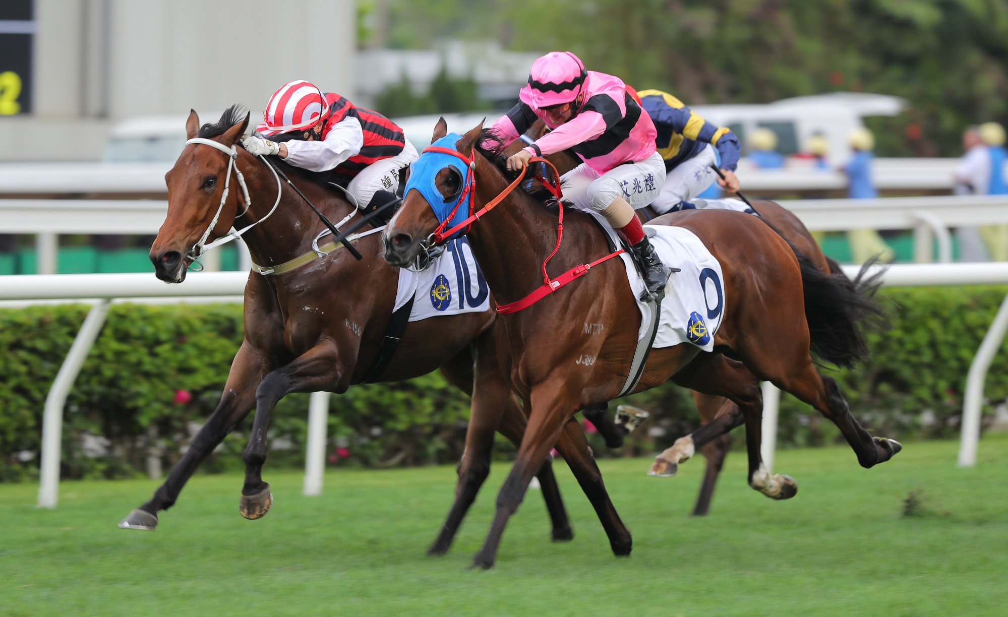 Liveandletlive (far side) rallies gamely to win under Angus Chung.