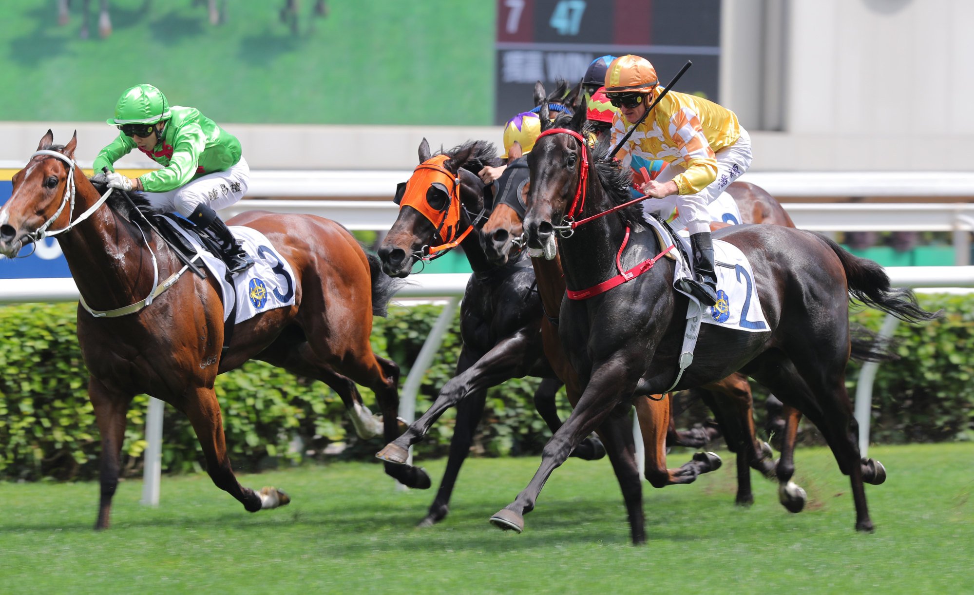 Crossborderpegasus gives Zac Purton a hard time in the finish. Crossborderpegasus gives Zac Purton a hard time in the finish.