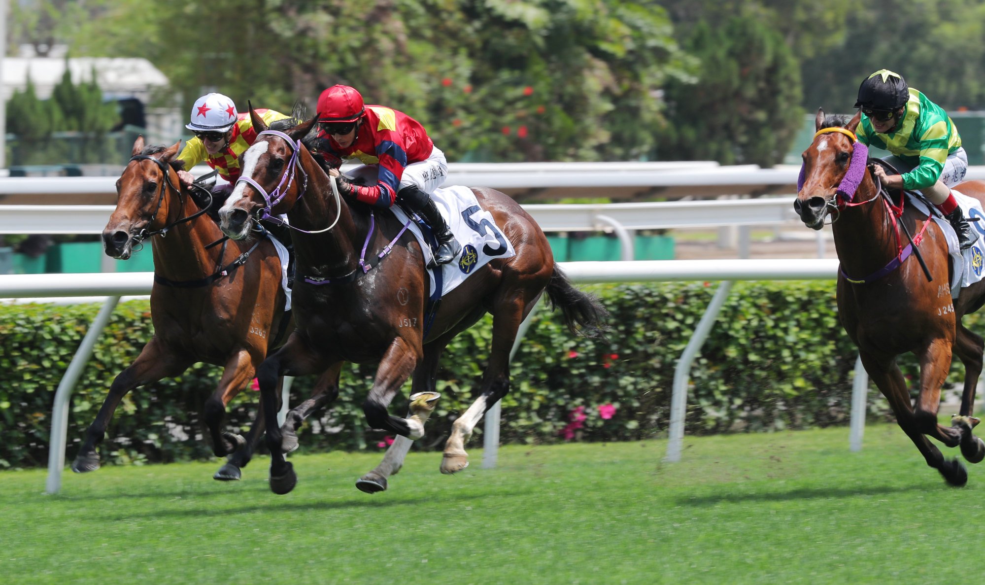 Hong Lok Golf (centre) fights hard to hold off the fast-finishing Pray For Mir (outside).