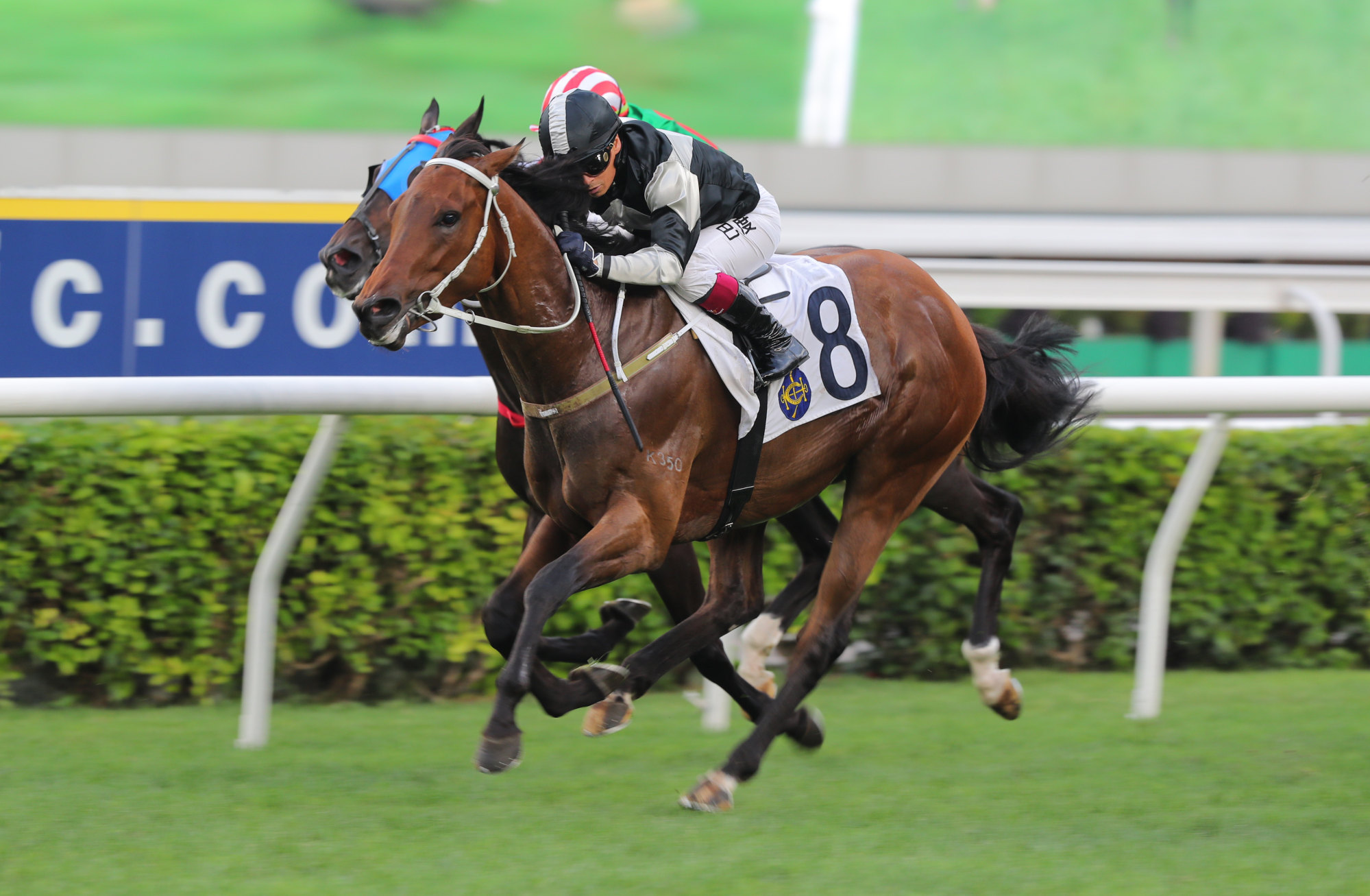 Alexis Badel steers Winning Ovation to victory.