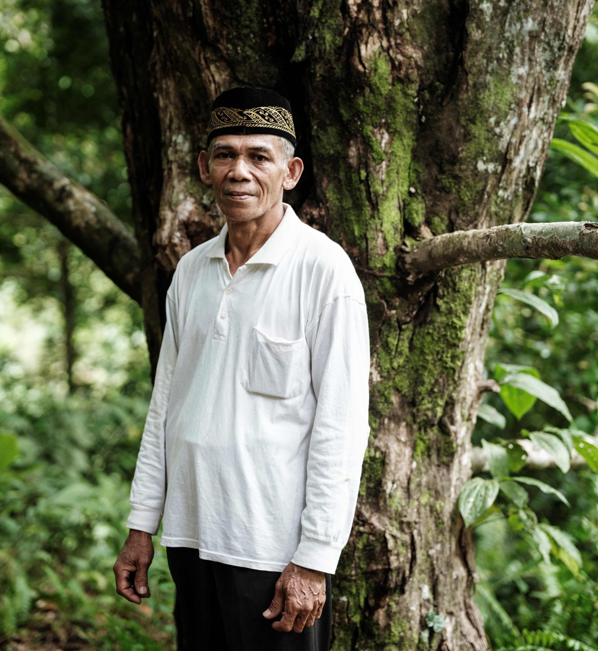 Jauhar Mahmud, a clove farmer and community leader, in front of his favourite 60-year-old clove tree, one of 150 he owns, in Ternate. Photo: AFP Jauhar Mahmud, a clove farmer and community leader, in front of his favourite 60-year-old clove tree, one of 150 he owns, in Ternate. Photo: AFP
