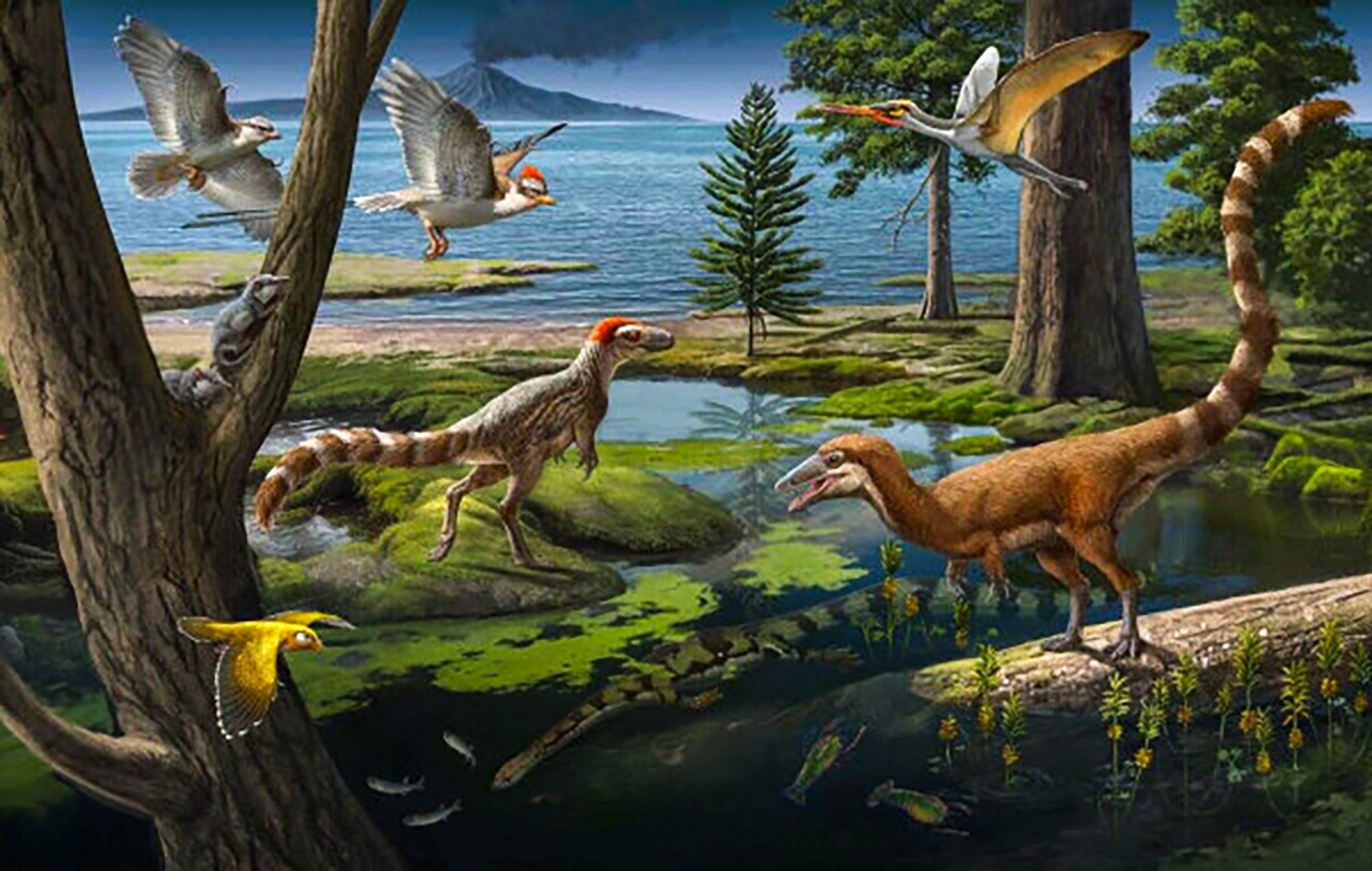 New fossil findings reveal complex food chains from 125 million years ago. Photo: Chinese Academy of Sciences