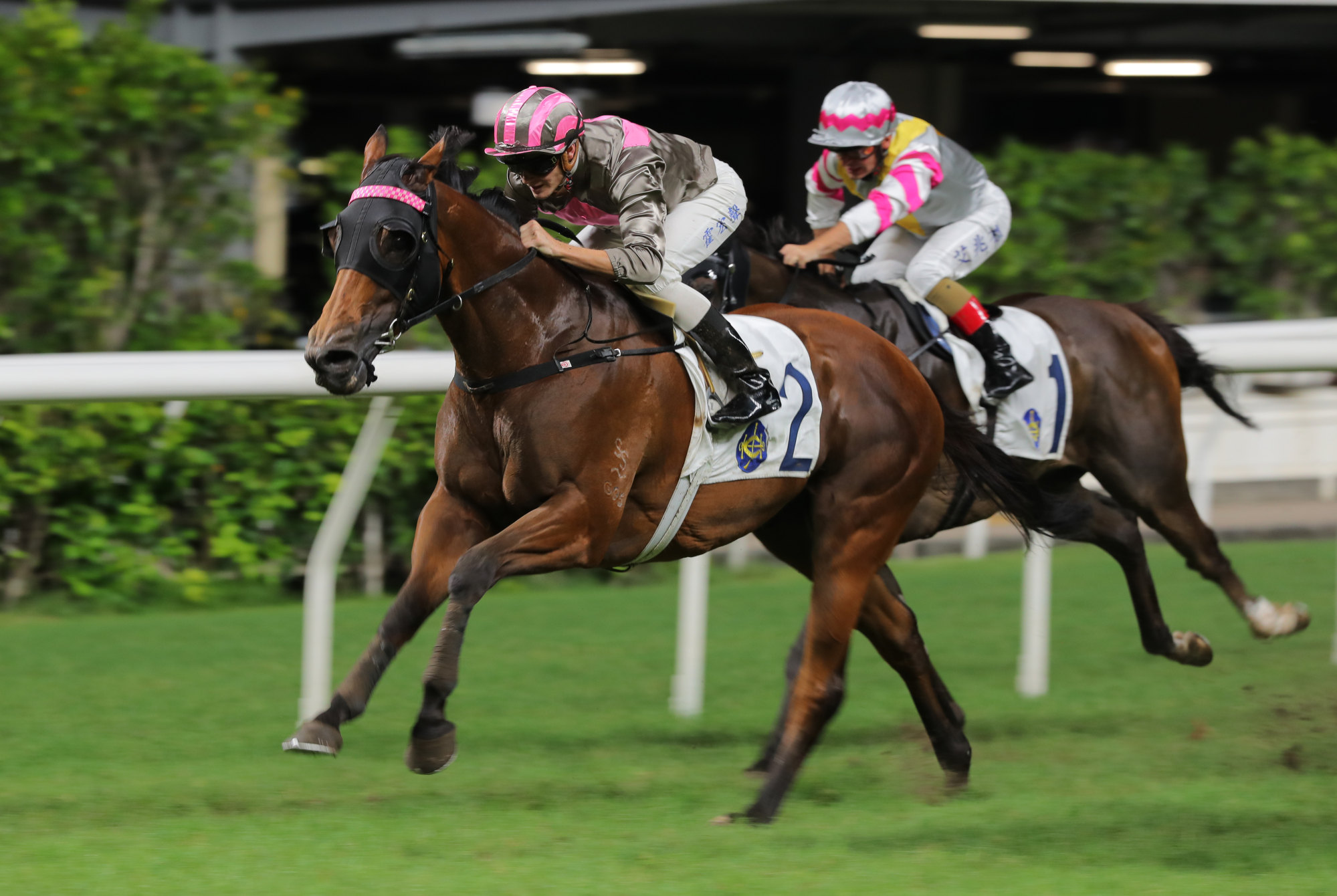 Setanta wins at Happy Valley under Luke Ferraris last year.