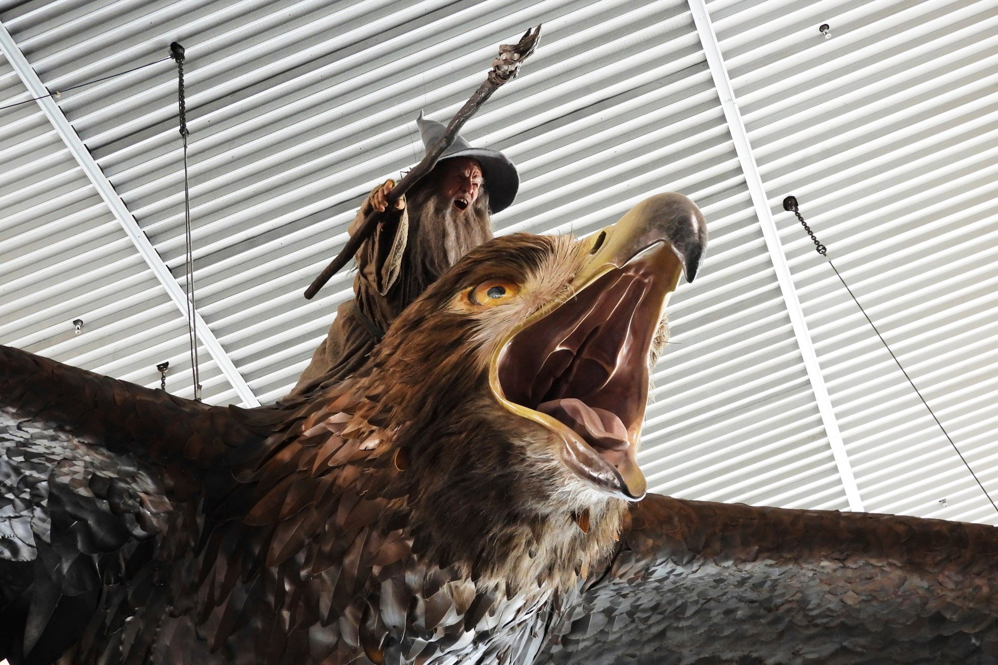 During the years the eagles have hovered in the terminal, Tolkien tourism has waned in Wellington. Photo: AP During the years the eagles have hovered in the terminal, Tolkien tourism has waned in Wellington. Photo: AP