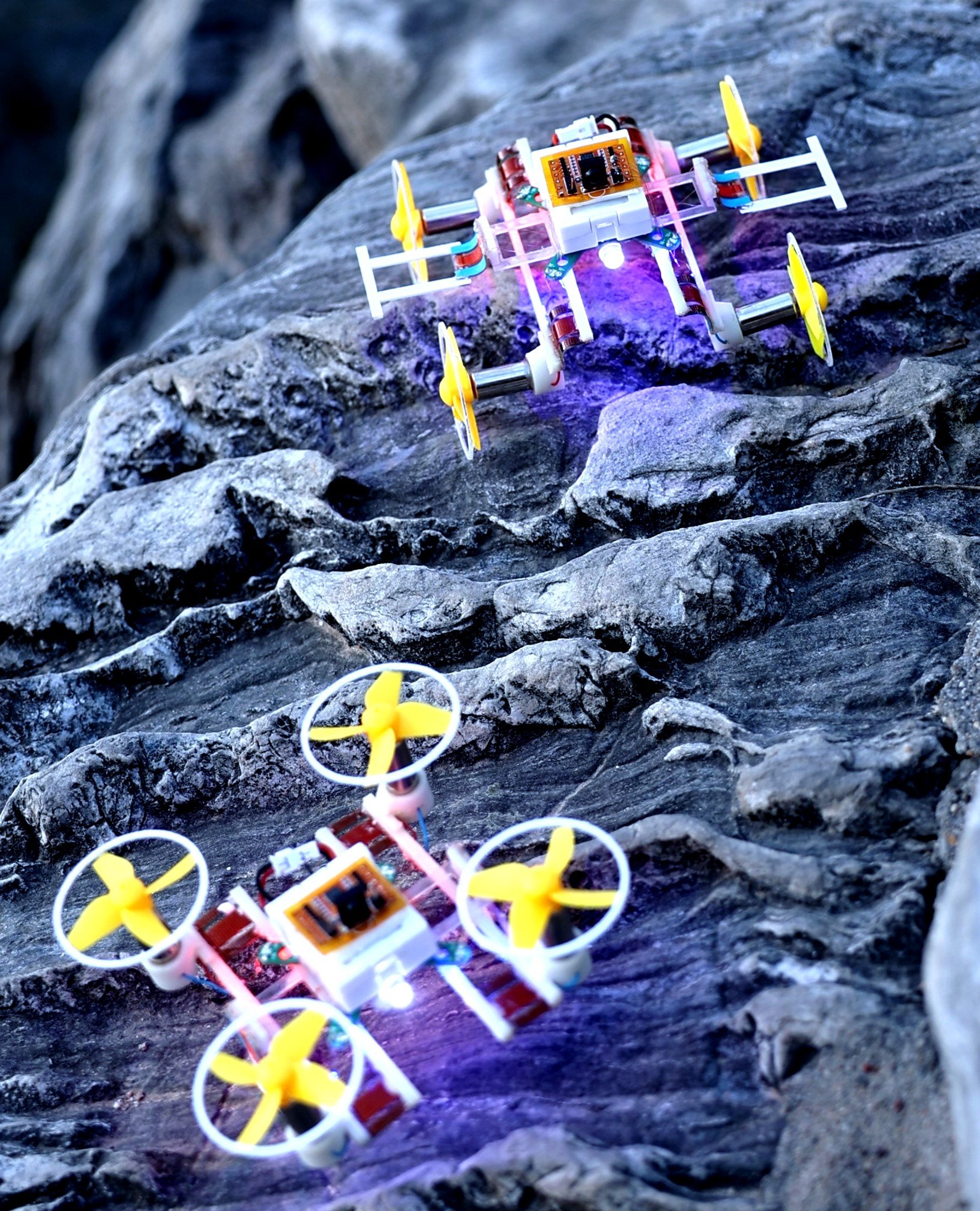 The microrobot is 9cm long and weighs 25 grams. In outdoor tests, it flew over objects and landed, then switched mode to drive on the ground. Photo: Xinhua