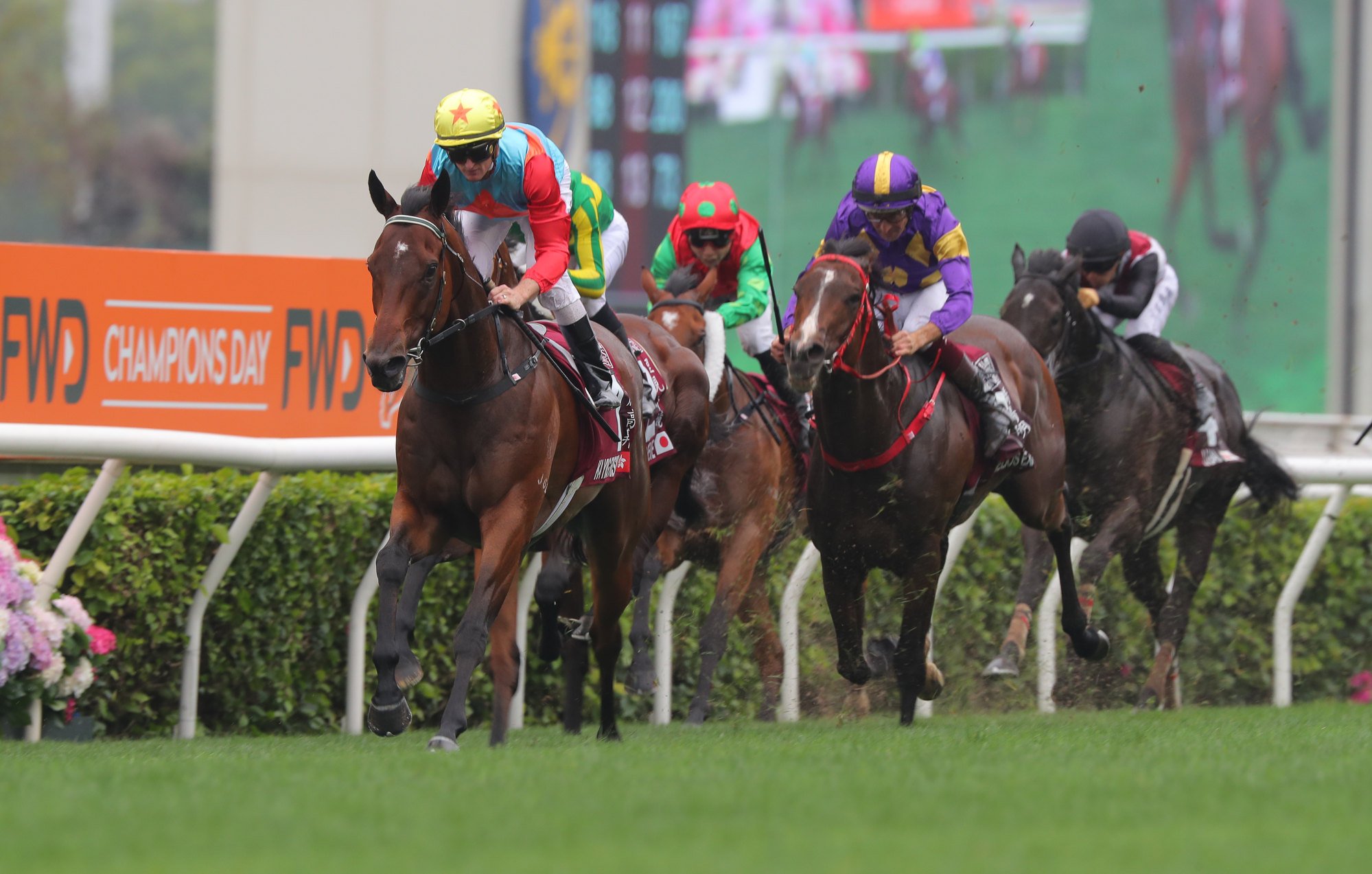 Zac Purton is set for another trip Down Under with star sprinter Ka Ying Rising heading for The Everest.