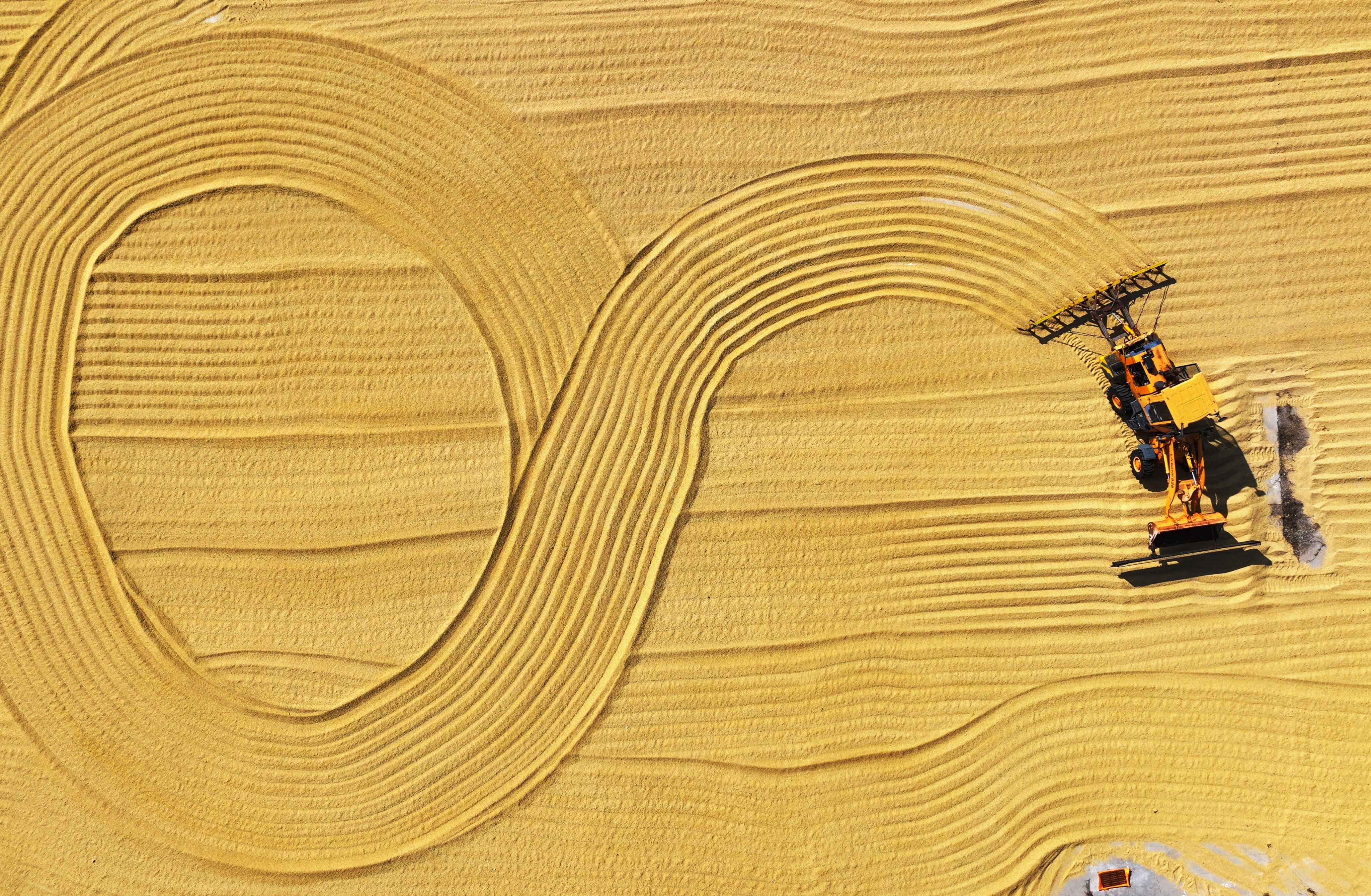 In China, where a rice research team says it found the genetic answer to deeper roots and better drought tolerance, rice production accounts for 70 per cent of agricultural water consumption and half of national water consumption.  Photo: CFOTO/Future Publishing via Getty Images