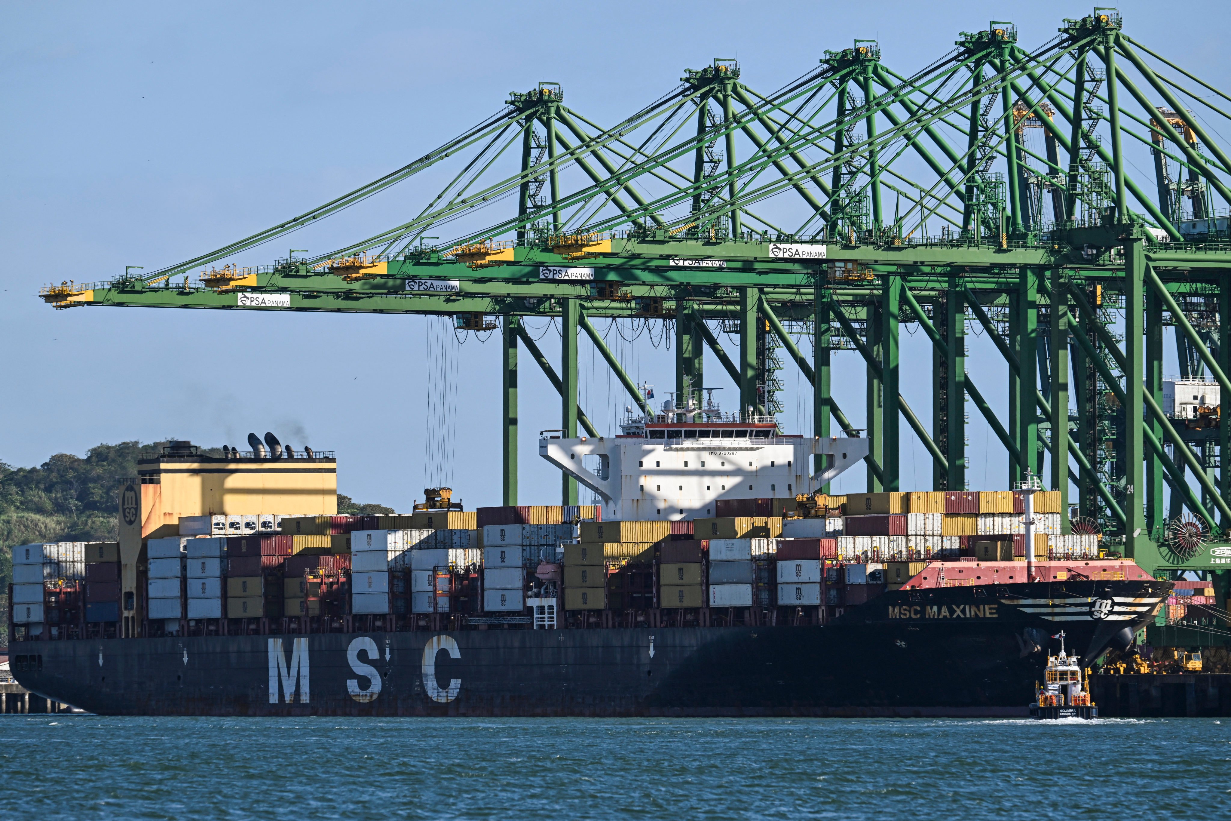 Some lawmakers have called for CK Hutchison not to go ahead with plans to sell its Panama ports. Photo: AFP