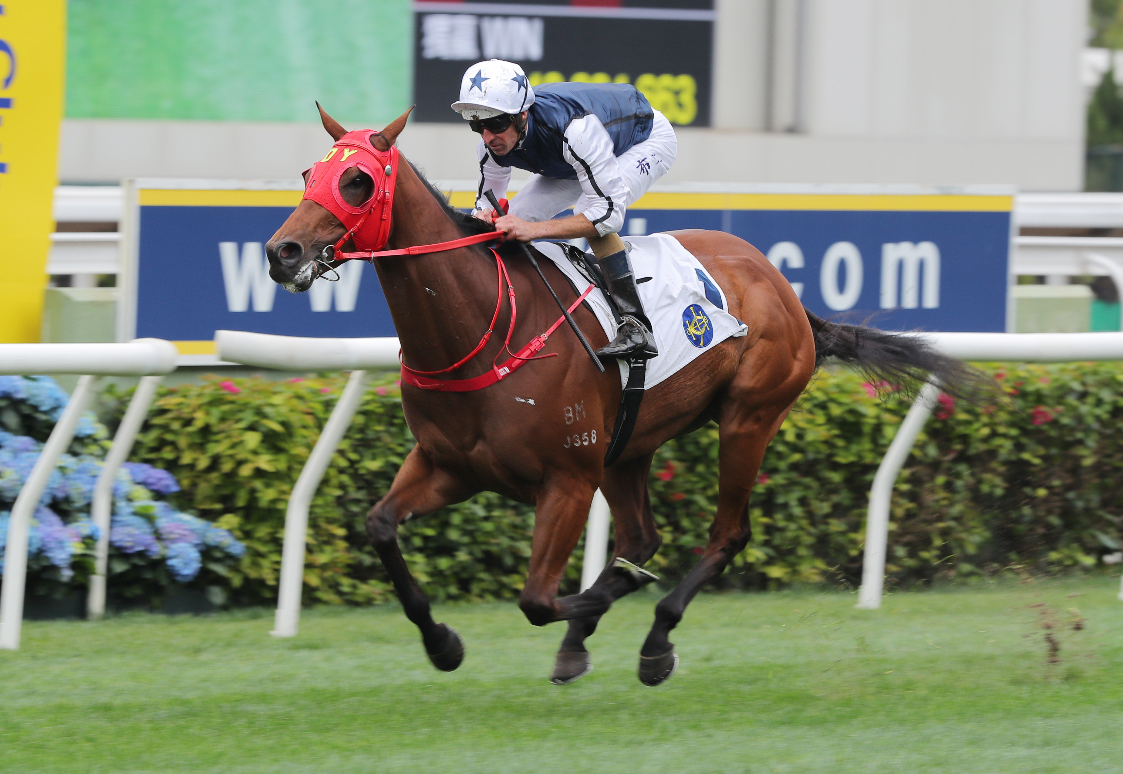 Hugh Bowman guides Fast Network to a brilliant win on March 30. Photos: Kenneth Chan
