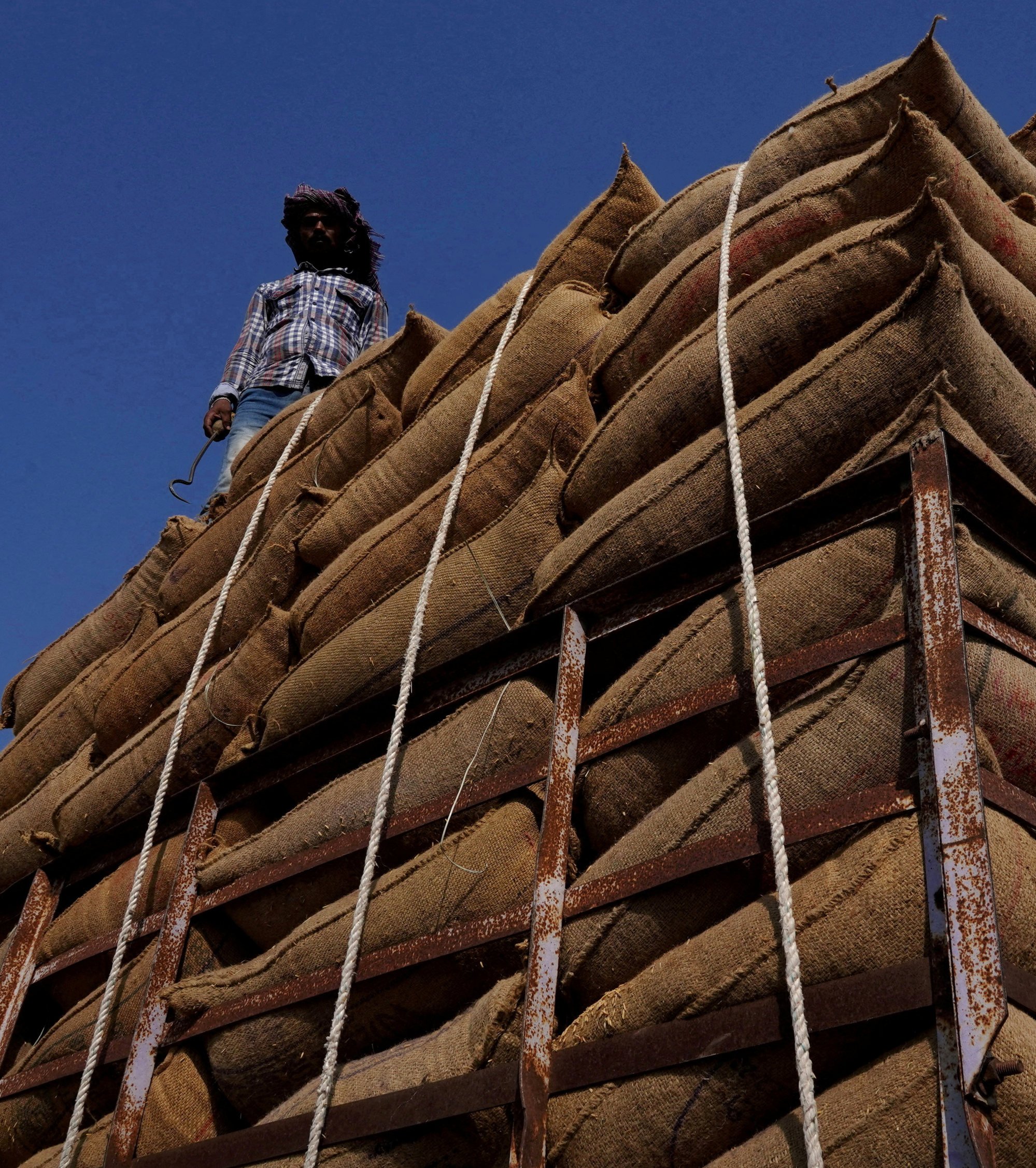 A labourer loads sacks of rice onto a supply truck in a grain market in Karnal, India. Photo: Reuters A labourer loads sacks of rice onto a supply truck in a grain market in Karnal, India. Photo: Reuters