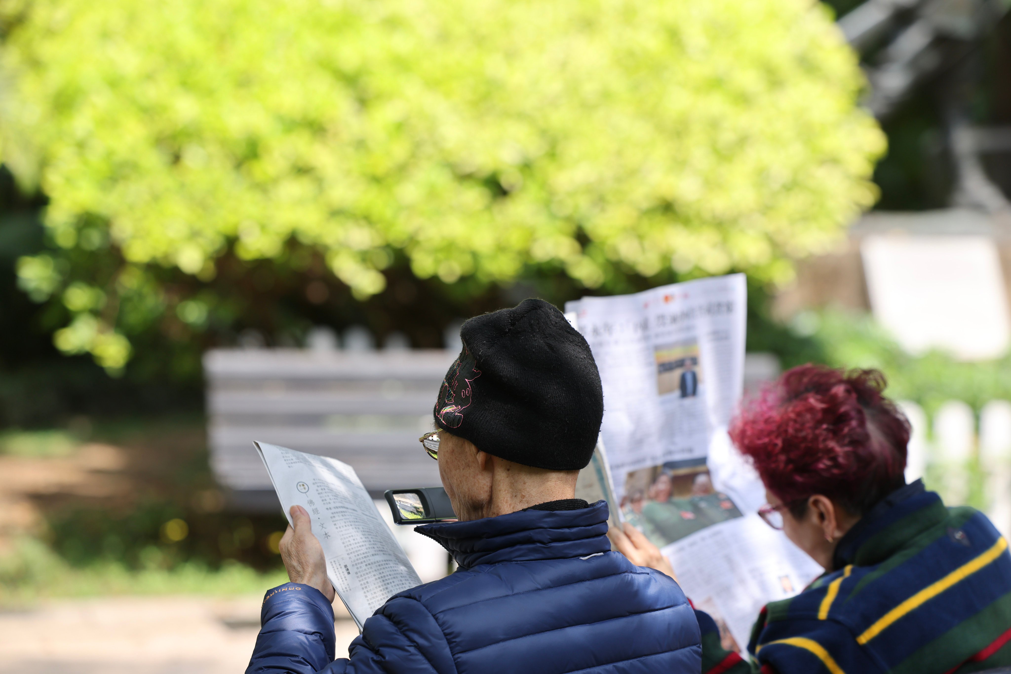 People read in Hong Kong Park in Admiralty on March 8, 2025. Photo: Nora Tam