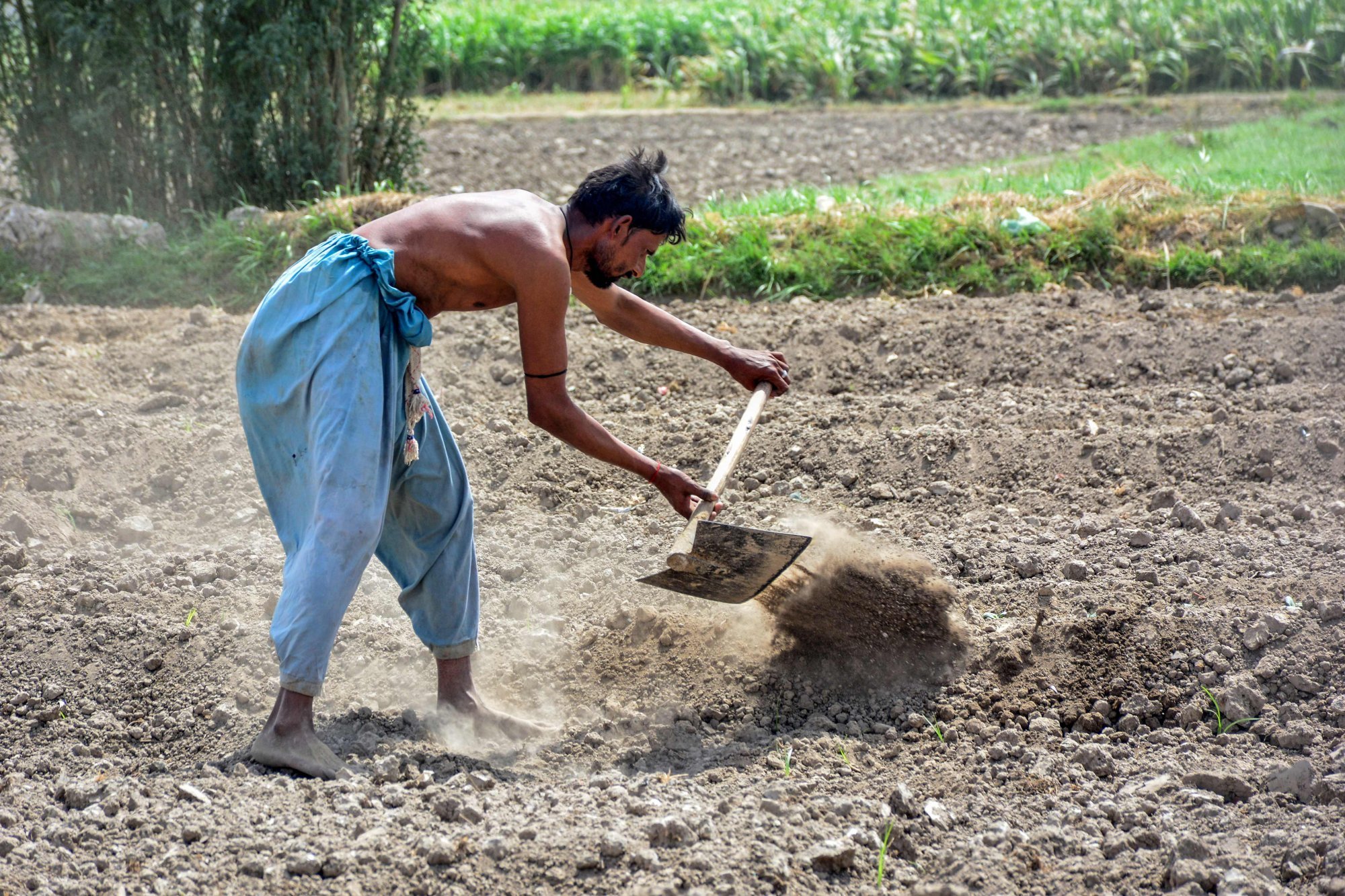A farmer works a field in Hyderabad, Pakistan’s Sindh province, on a hot day earlier this month. Photo: AFP A farmer works a field in Hyderabad, Pakistan’s Sindh province, on a hot day earlier this month. Photo: AFP
