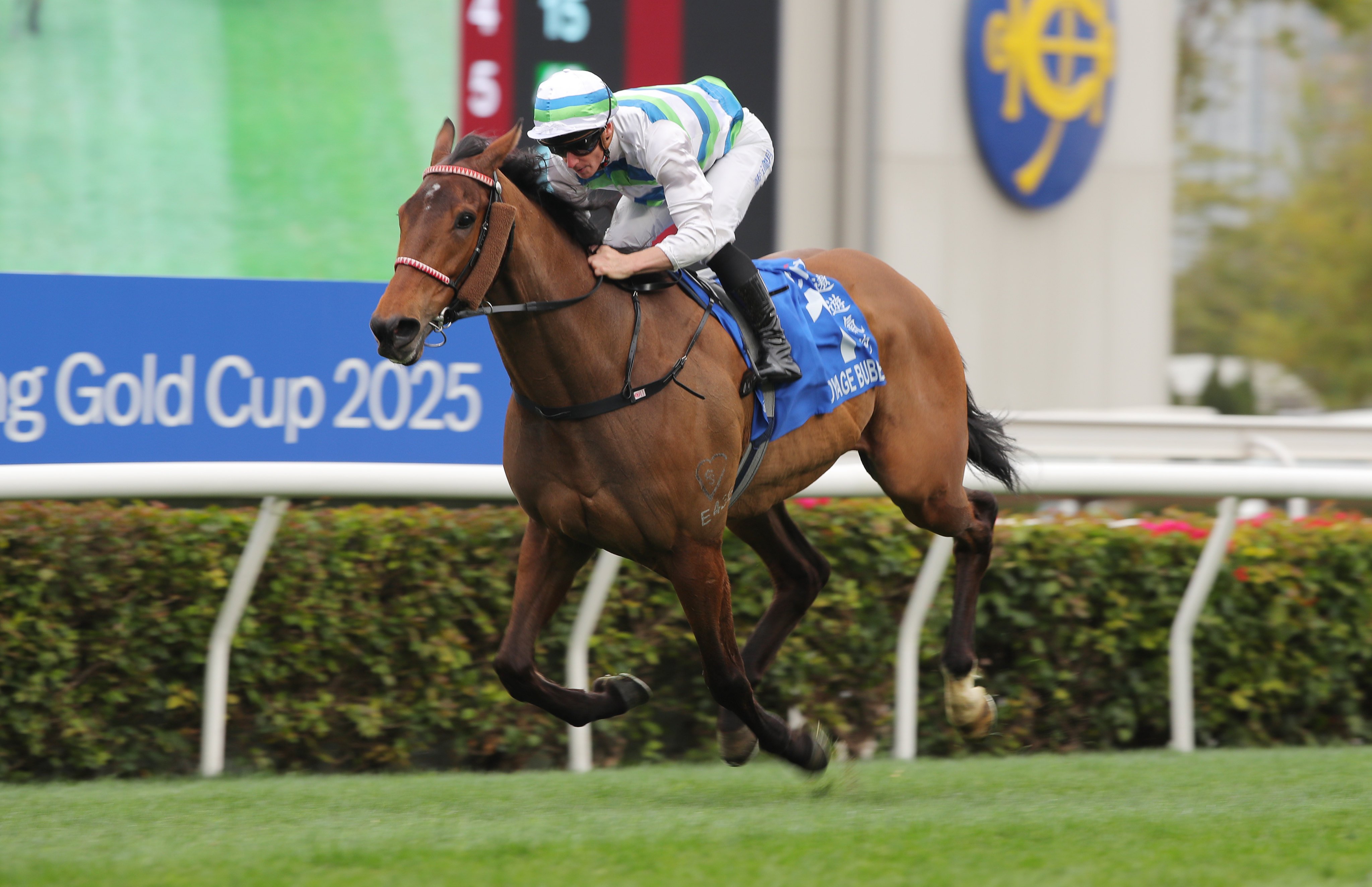 Voyage Bubble wins the second leg of the Triple Crown, the Hong Kong Gold Cup, in February. Photo: Kenneth Chan