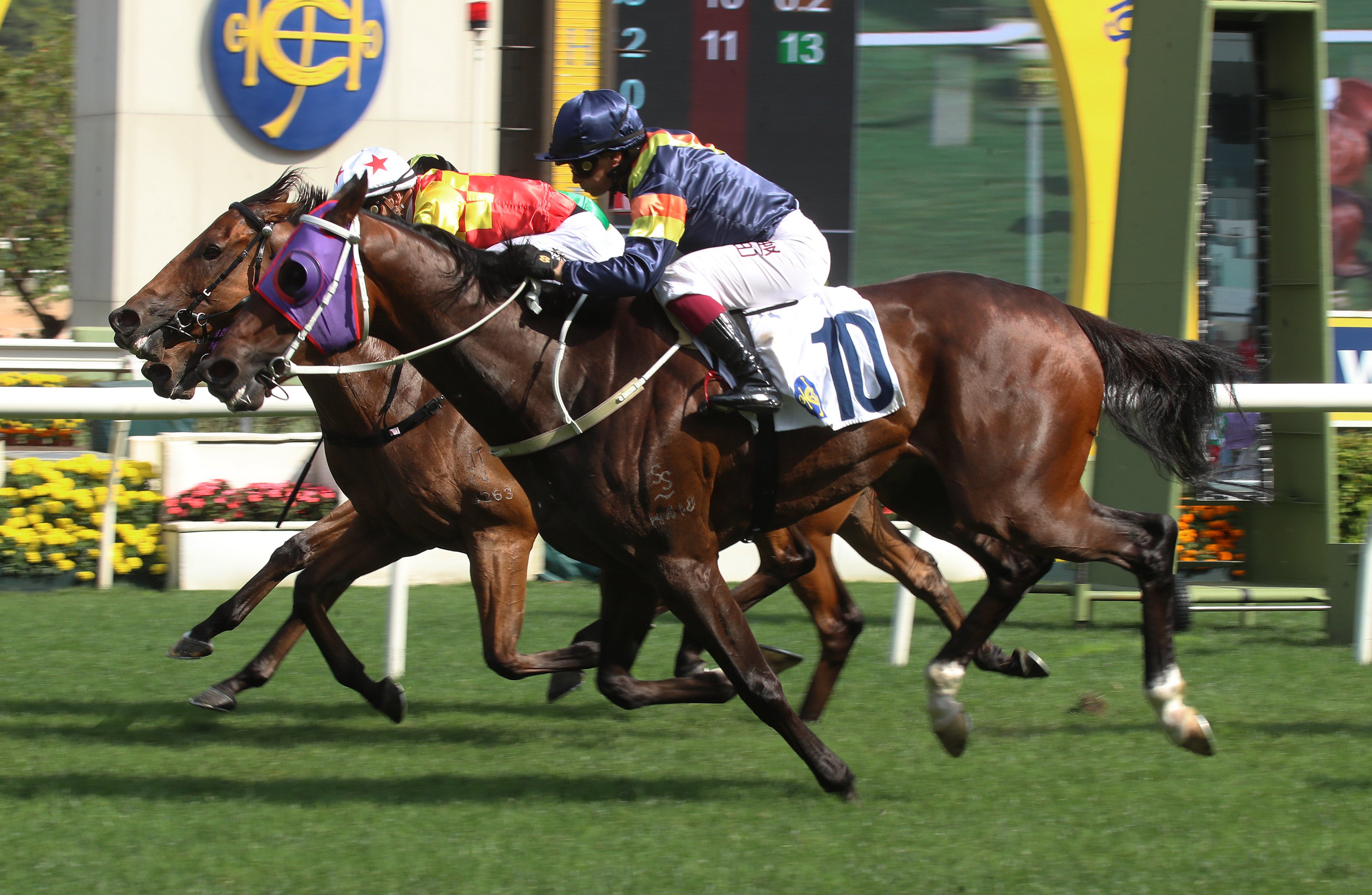 Californiatotality and Alexis Badel win at Sha Tin. Photos: Kenneth Chan