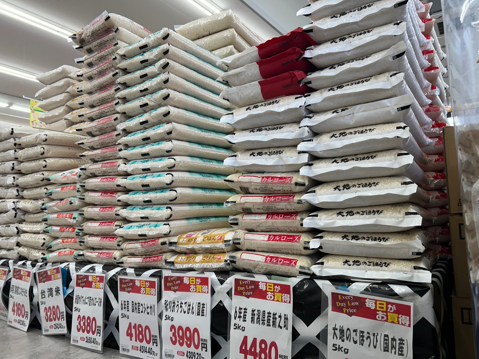 Rice imports will be a key part of trade negotiations between Japan and the US. Photo: Shutterstock Rice imports will be a key part of trade negotiations between Japan and the US. Photo: Shutterstock