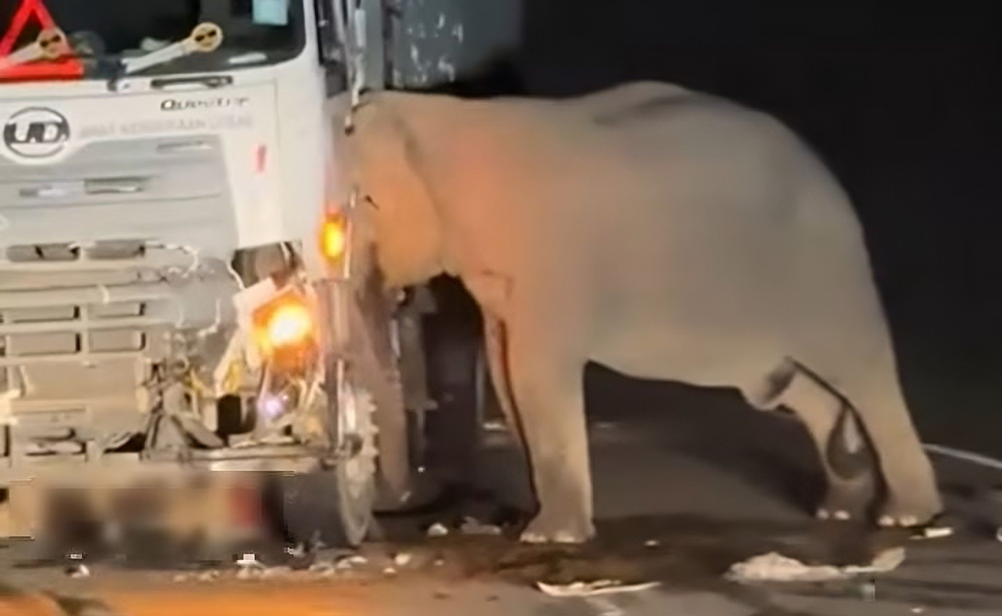 A still from a social-media video shows the mother elephant trying to free her calf after it was hit by a truck on Malaysia’s East-West Highway on Sunday. Photo: Facebook A still from a social-media video shows the mother elephant trying to free her calf after it was hit by a truck on Malaysia’s East-West Highway on Sunday. Photo: Facebook