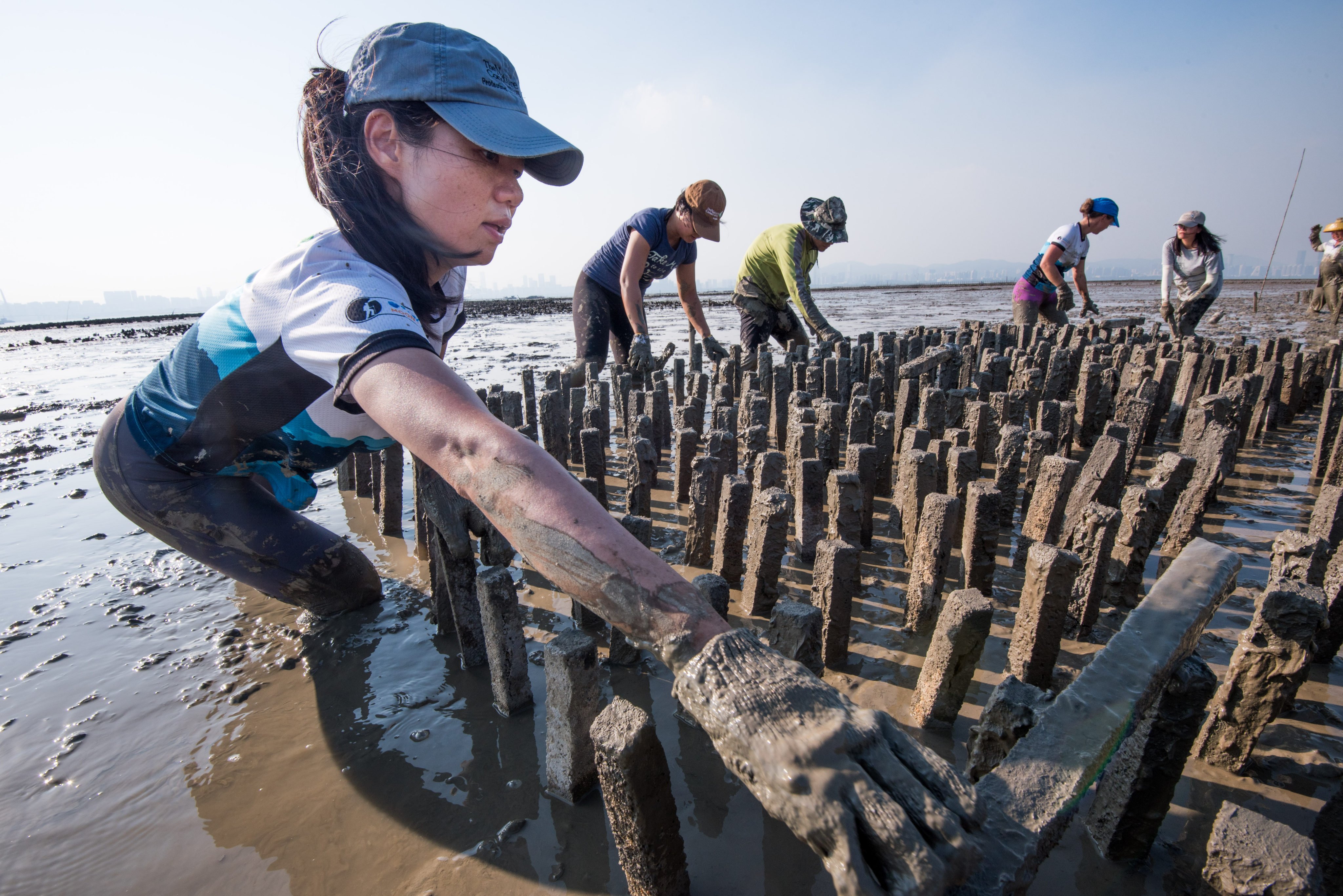 Workers on a project to restore Hong Kong oyster beds. Photo: Kyle Obermann/The Nature Conservancy