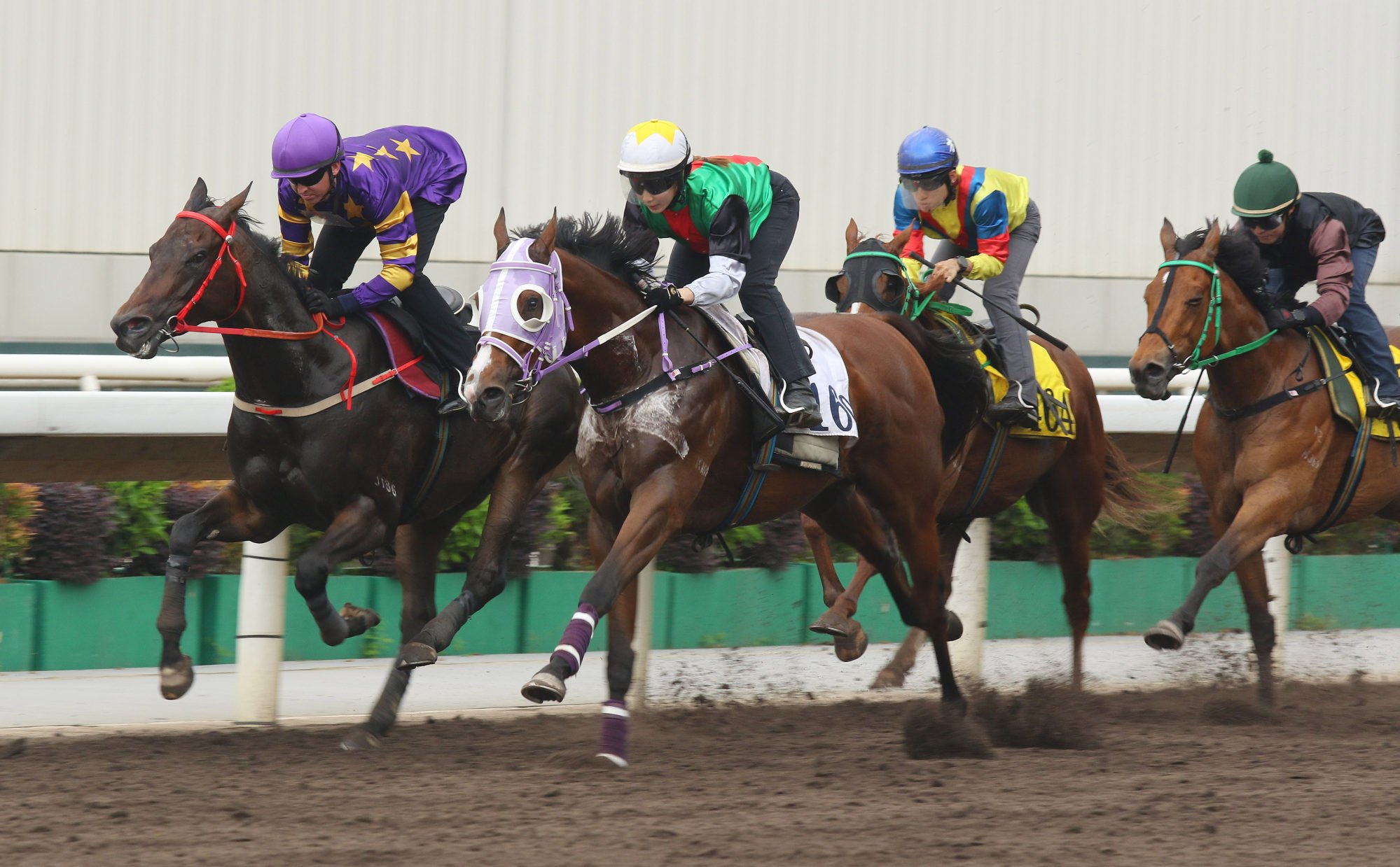 Mask Rider (centre) wins a recent dirt trial under Britney Wong.