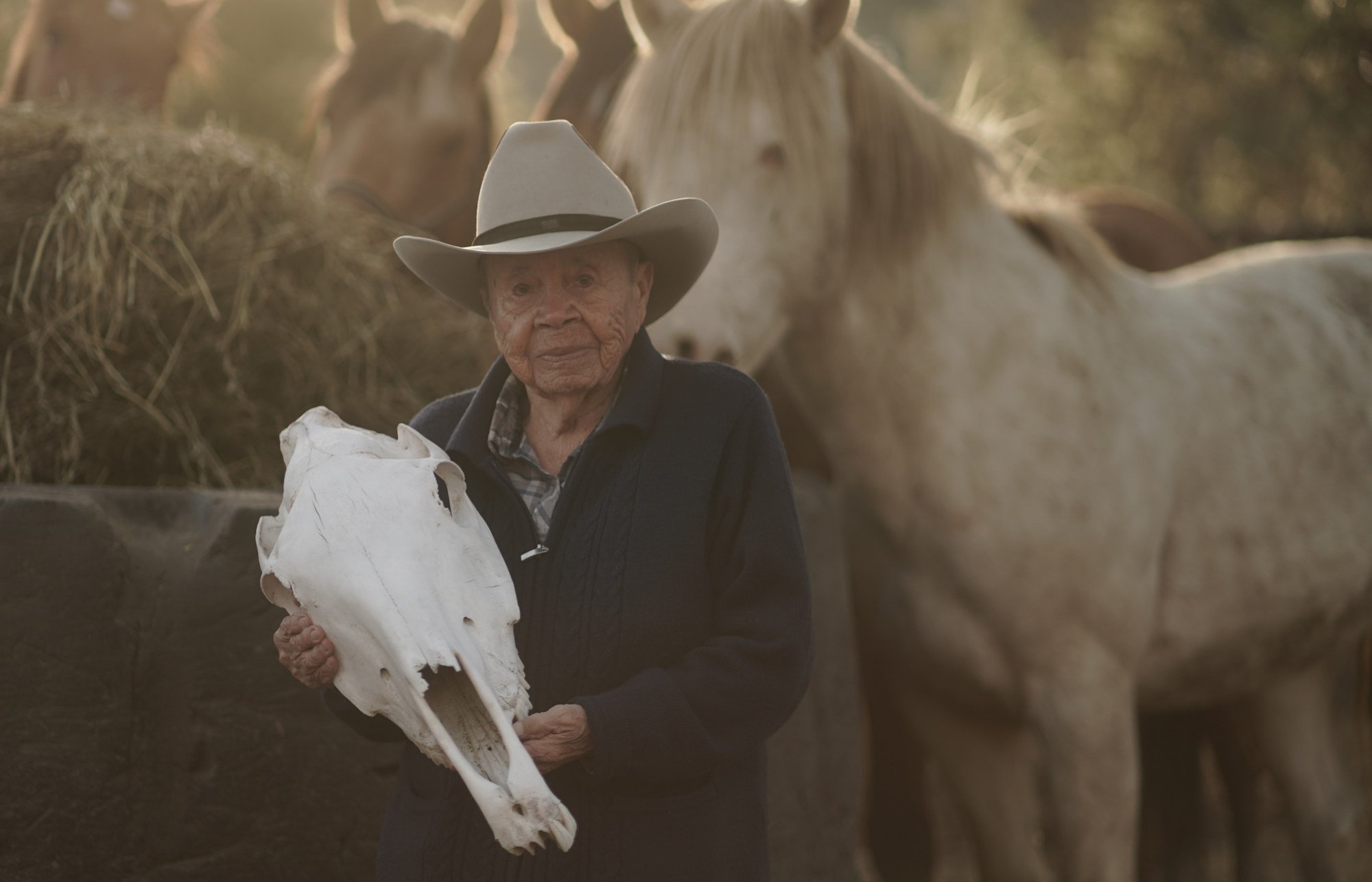 Horses became key to many Indigenous cultures across the American Southwest and the Great Plains. Pictured is First Nations Elder Jane Stelkia and the Okanagan Nation horse. Photo: Little Pine Productions
