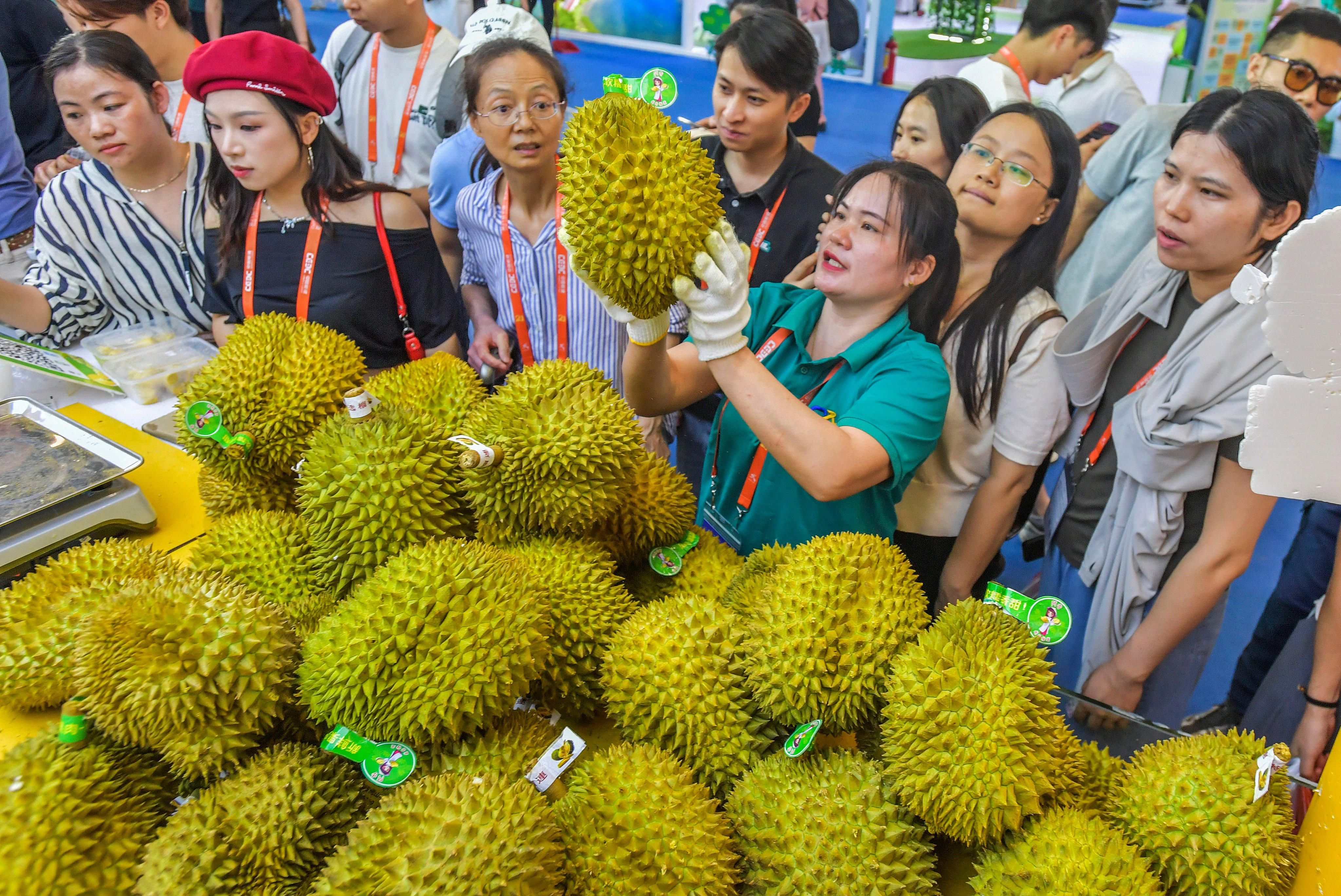 Consumers inspect Vietnamese durians at a trade expo in southern China. China is by far the world’s largest durian market, with most of its imports currently coming from Thailand and Vietnam. Photo: Getty Images